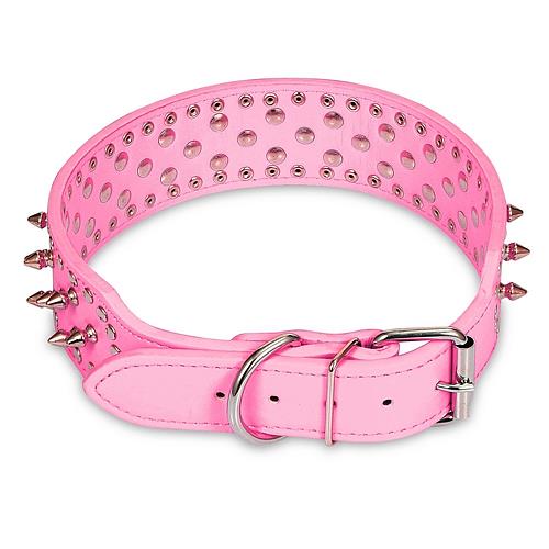 GBruno Dog Leather Collar Spiked - Image 7