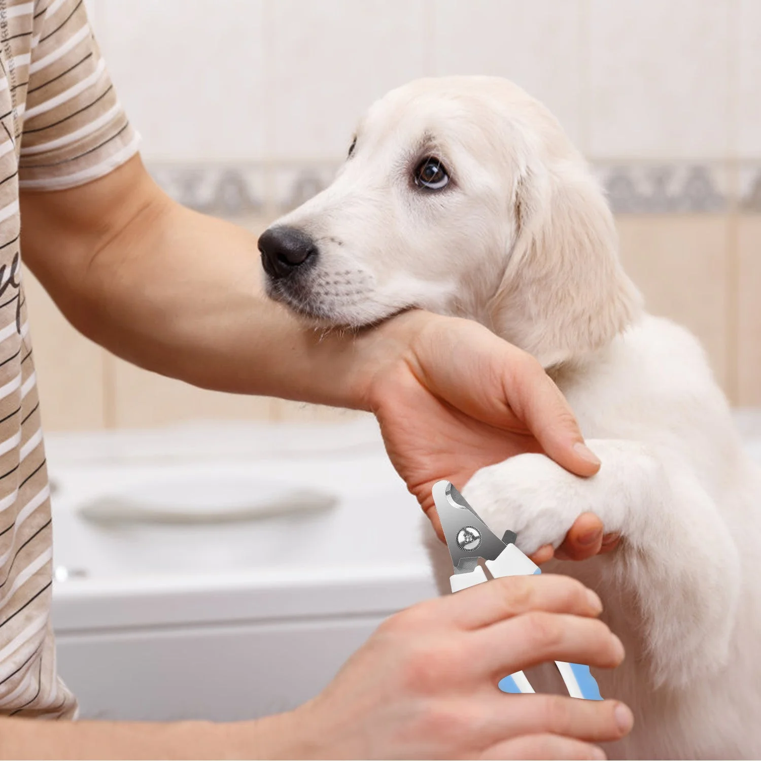 GBruno Dog Nail Clippers Pet - Image 5