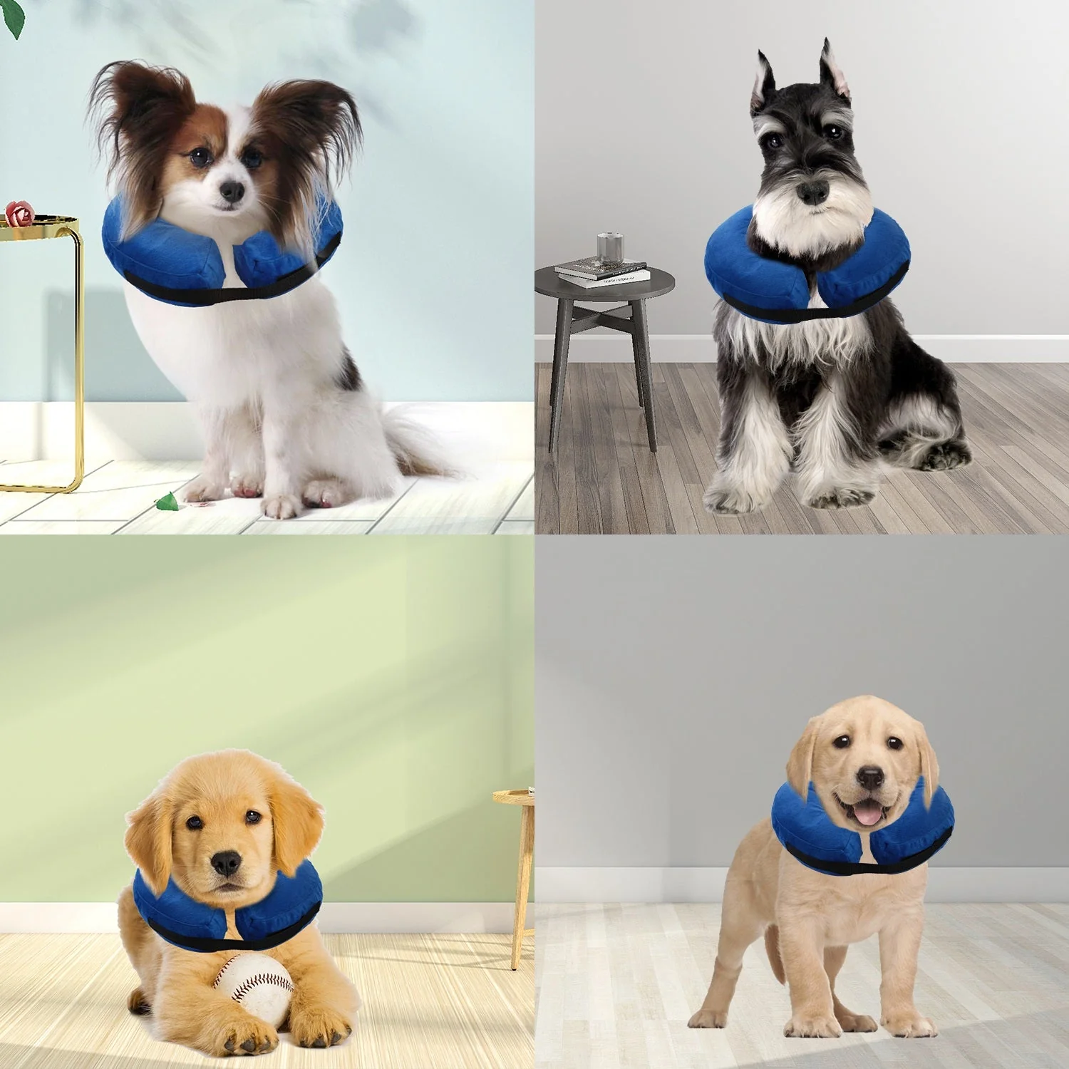 GBruno Dog Protective Inflatable Collar - Image 6
