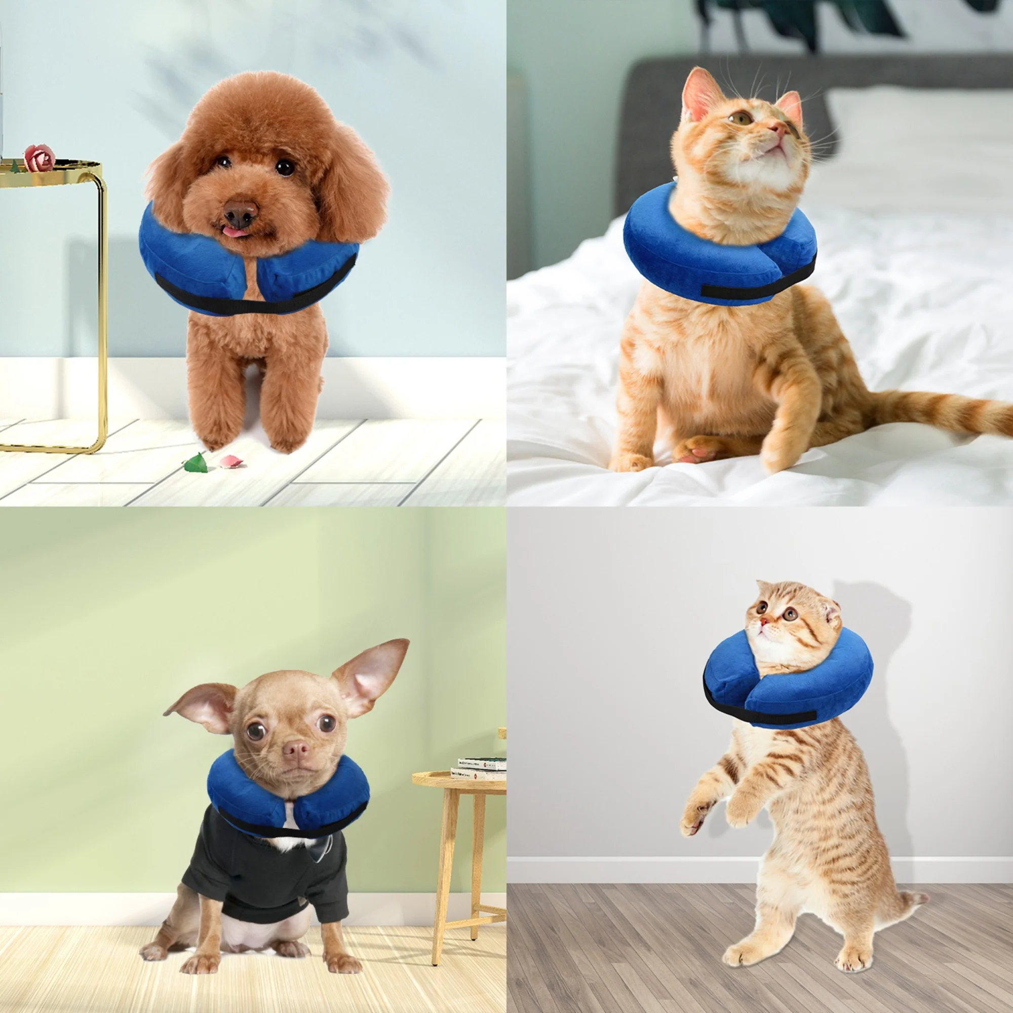 GBruno Dog Protective Inflatable Collar - Image 5