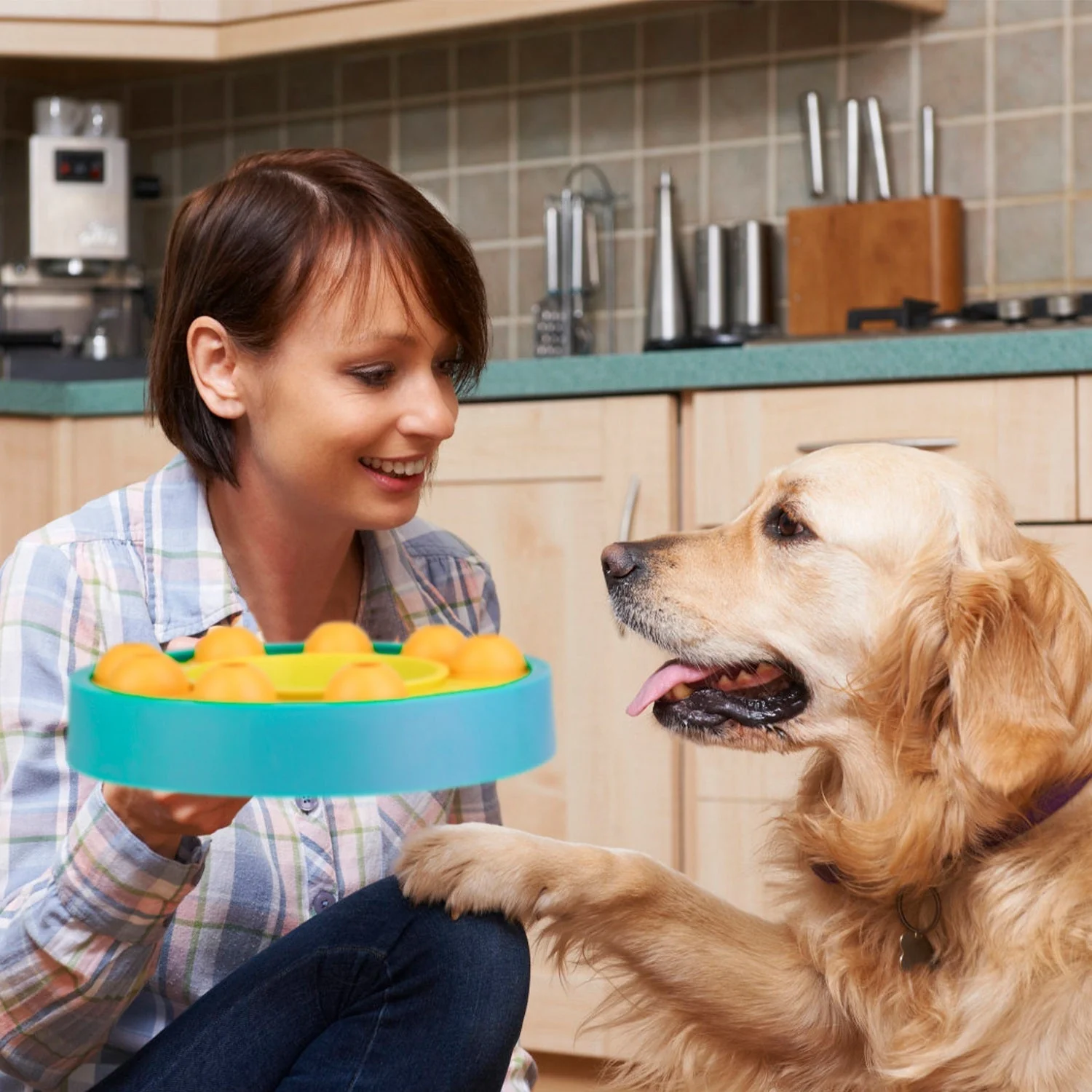 GBruno Dog Puzzle Food Feeder - Image 2