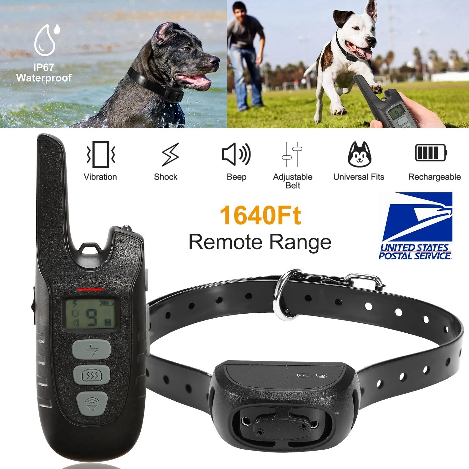 GBruno Dog Training Collar - Image 4