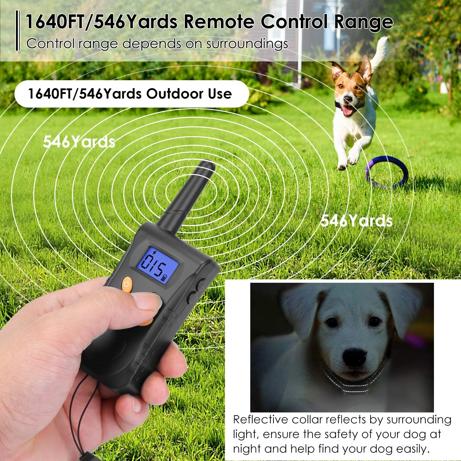 GBruno Dog Training Collar - Image 6