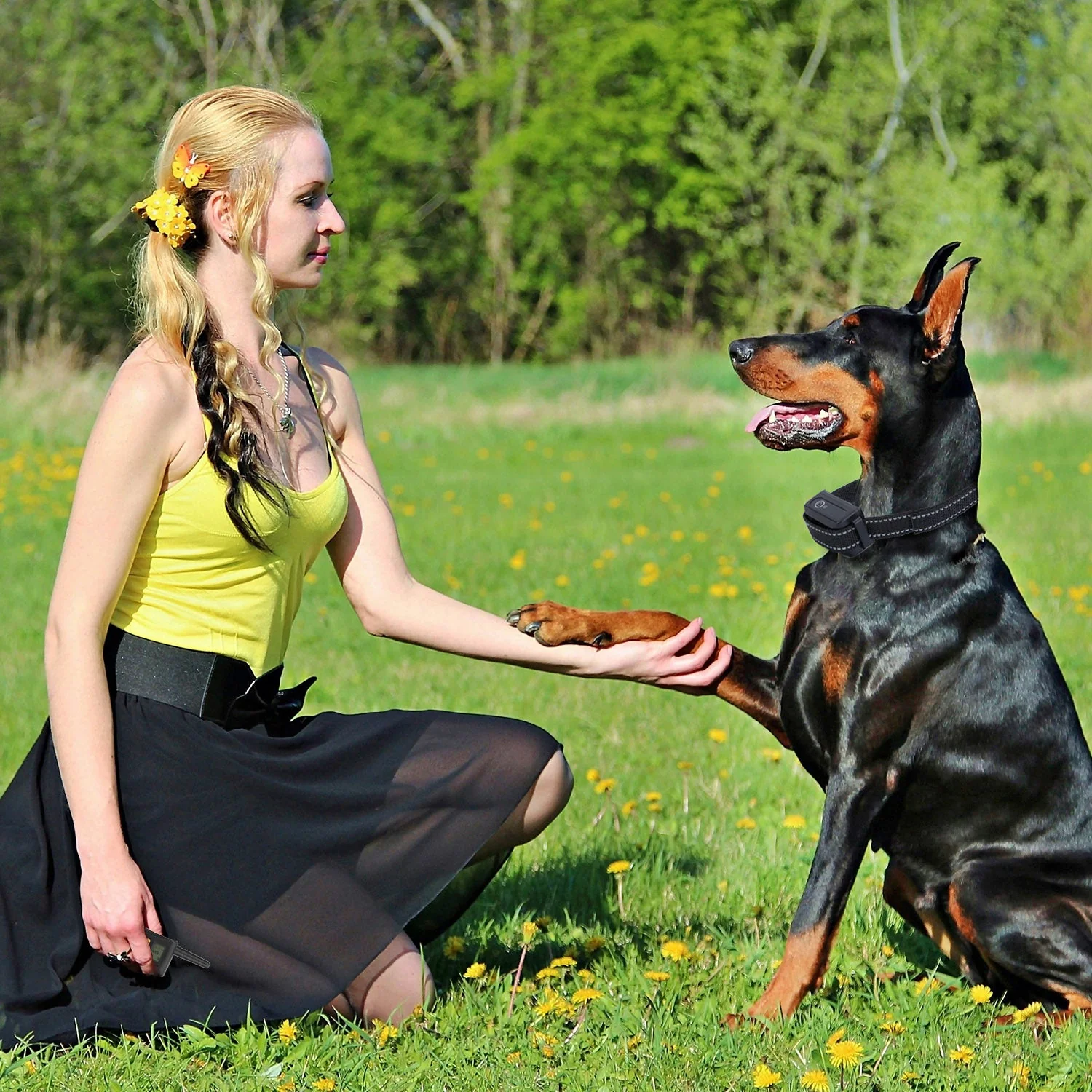 GBruno Dog Training Collar - Image 8