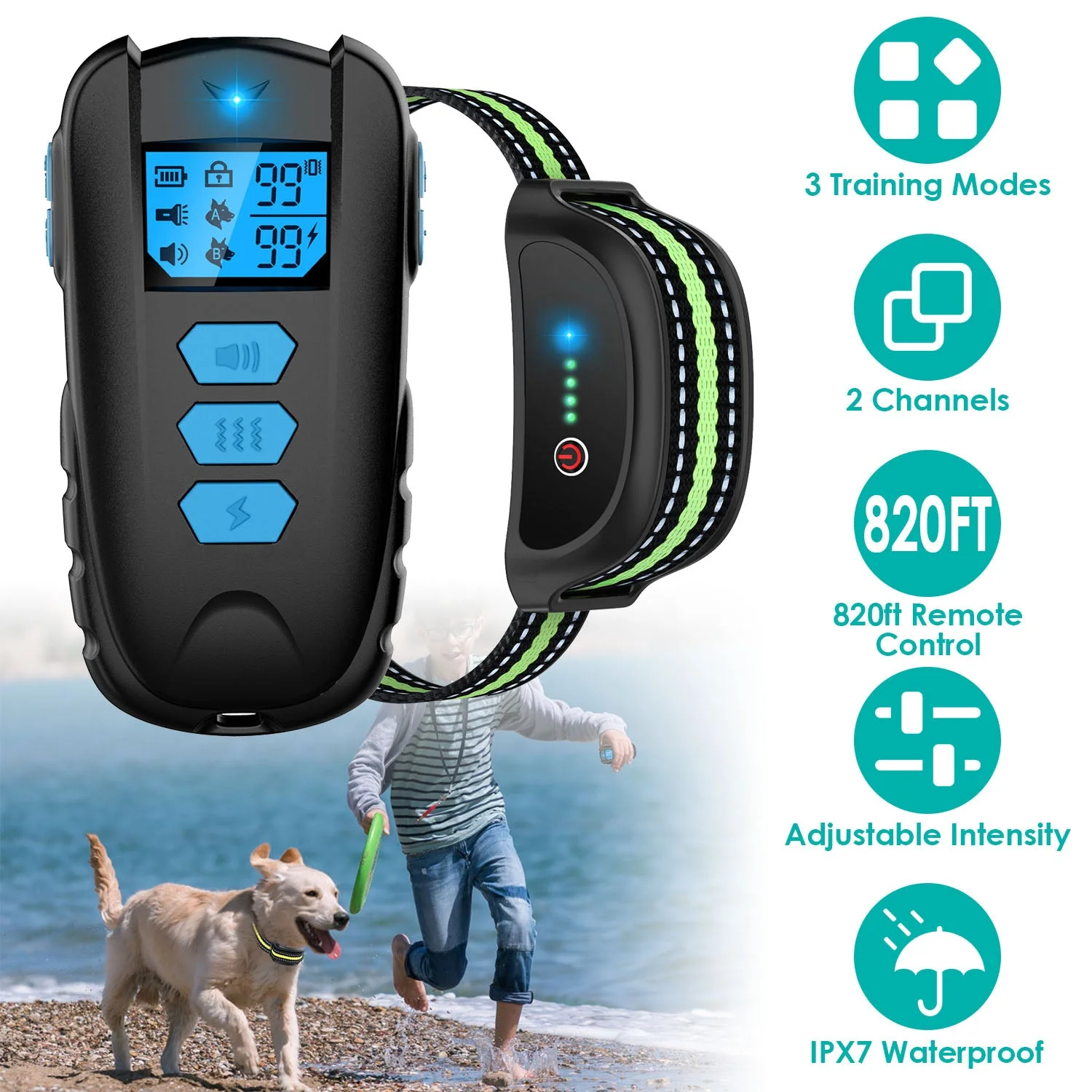 GBruno Dog Training Collar - Image 2