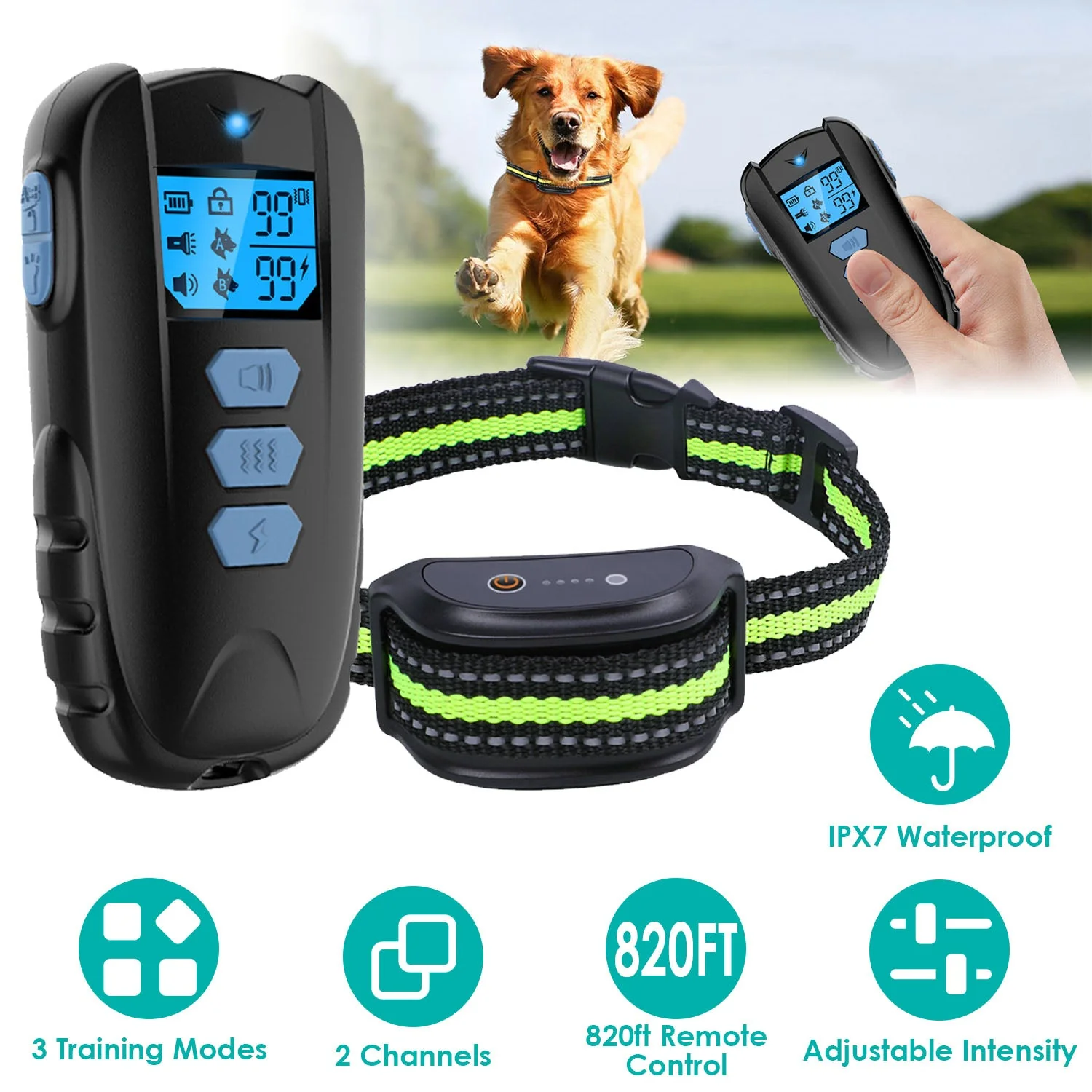 GBruno Dog Training Collar - Image 3