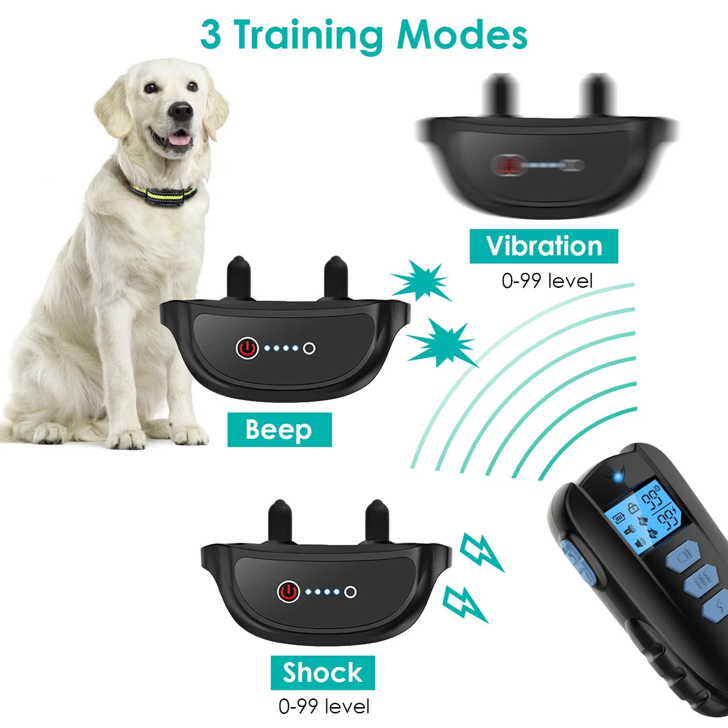 GBruno Dog Training Collar - Image 6