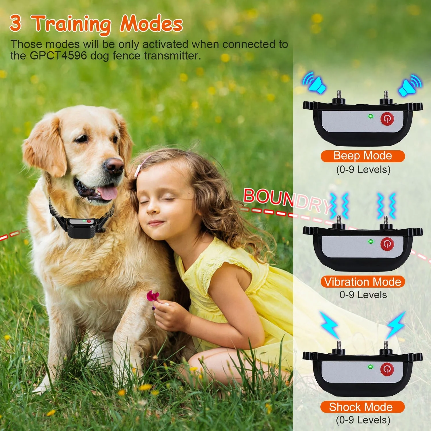 GBruno Dog Training Collar Receiver - Image 6