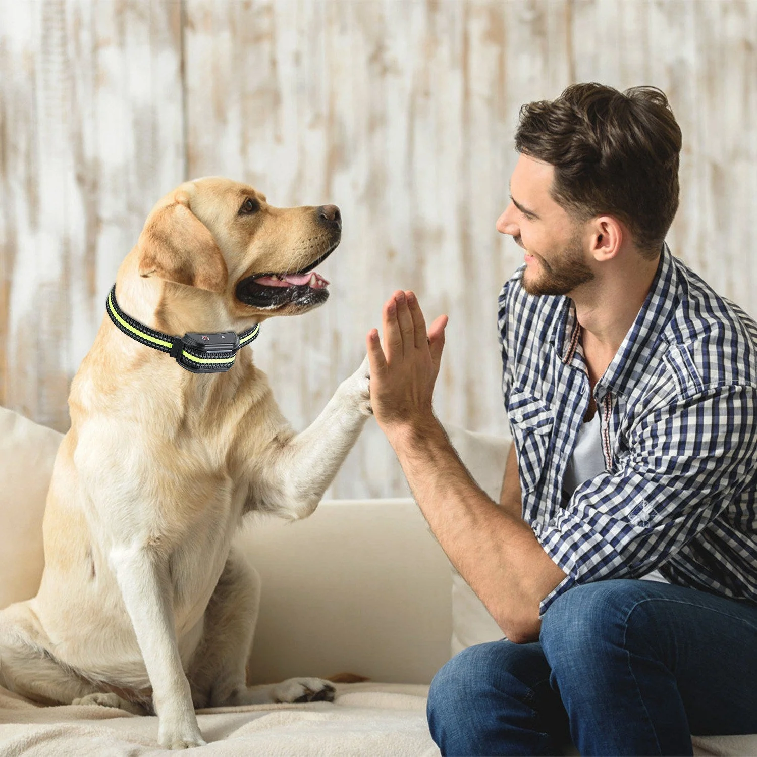 GBruno Dog Training Collar w/ Remote - Image 7