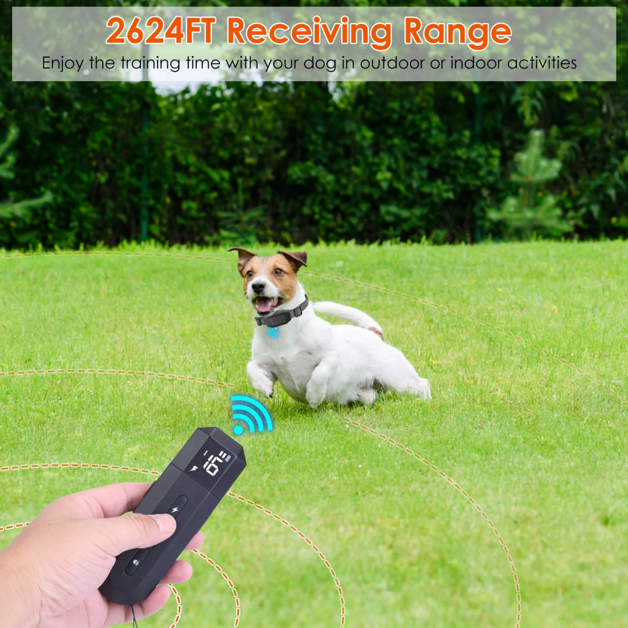 GBruno Dog Training Collar with Remote - Image 4