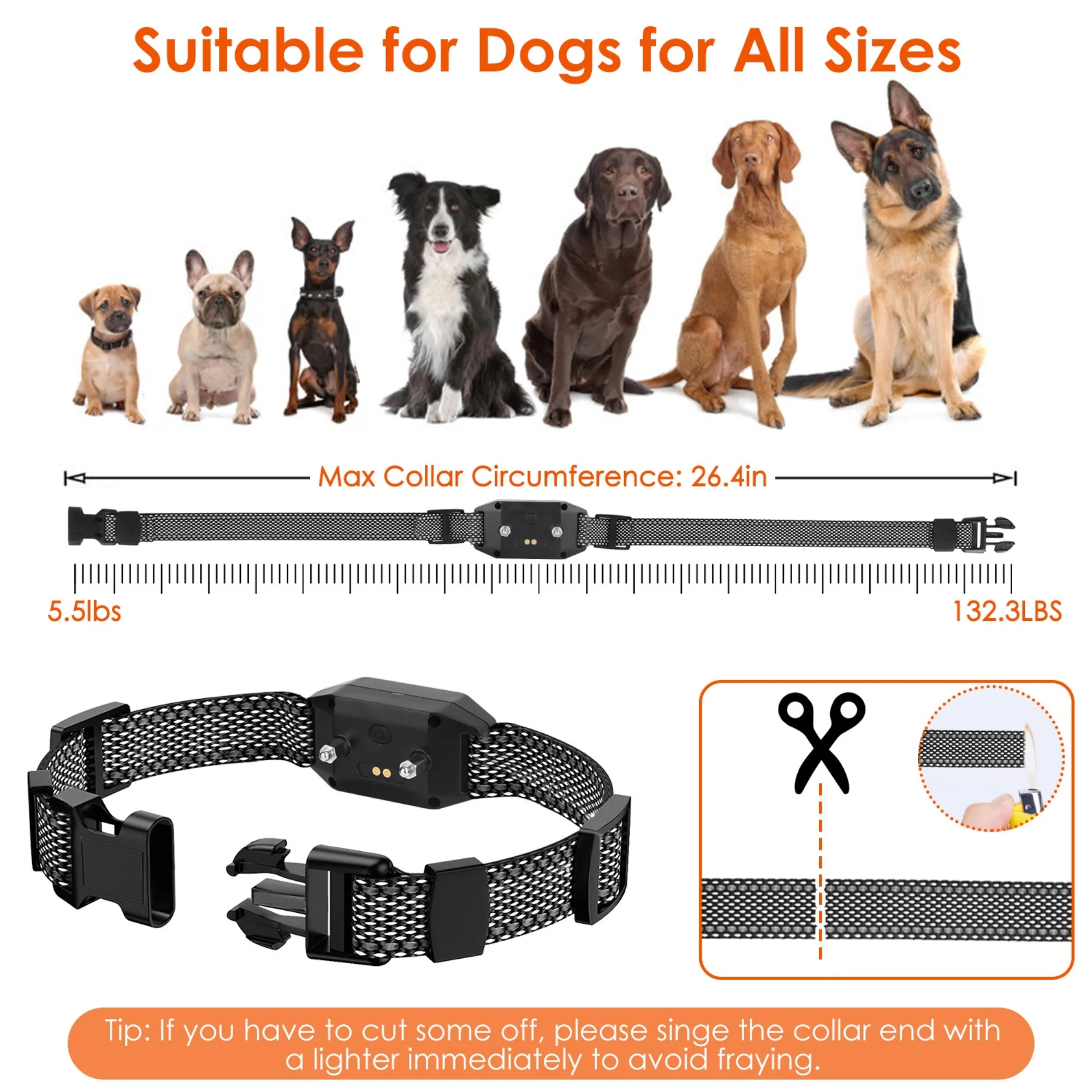 GBruno Dog Training Collar with Remote - Image 7