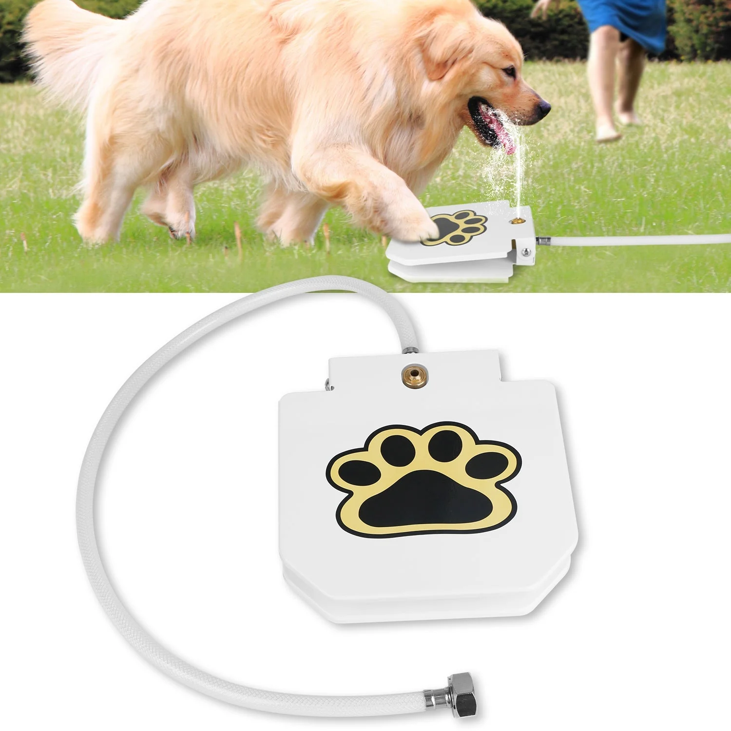 GBruno Dog Water Fountain - Image 4
