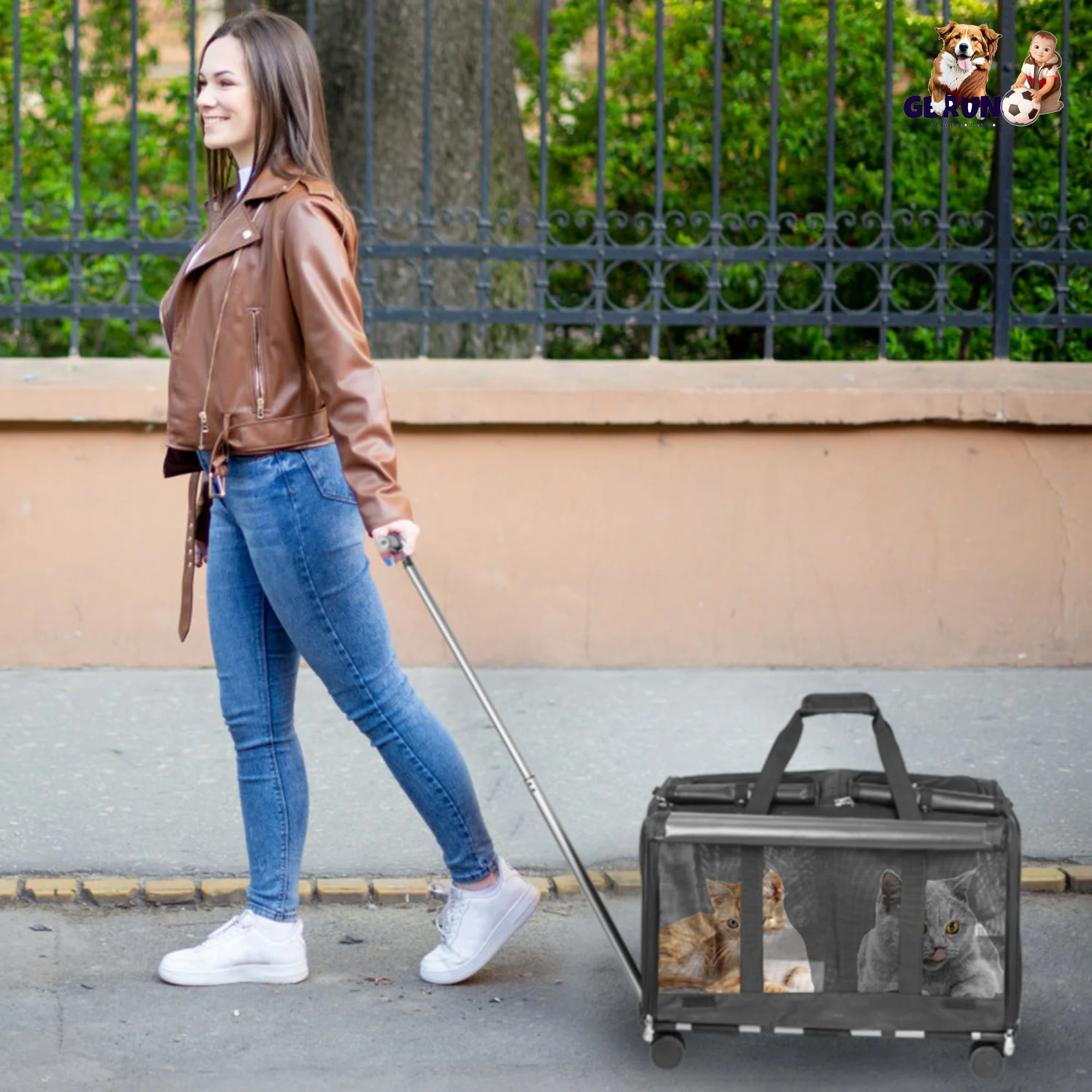 GBruno Double-Compartment Pet - Image 6