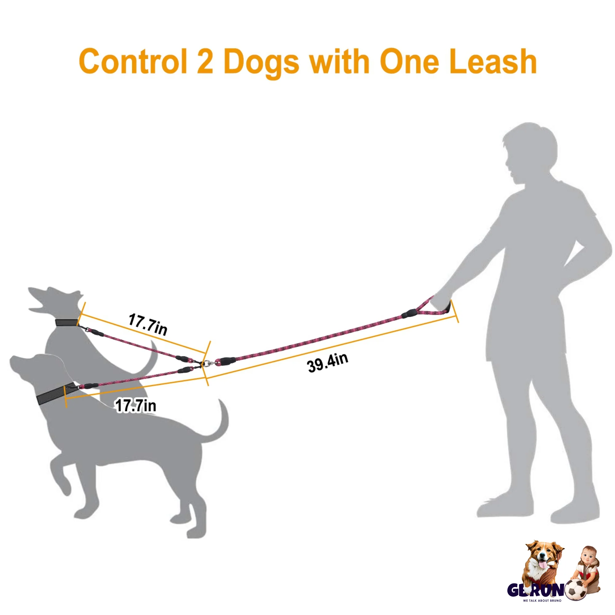 GBruno Double Dogs Leash - Image 5