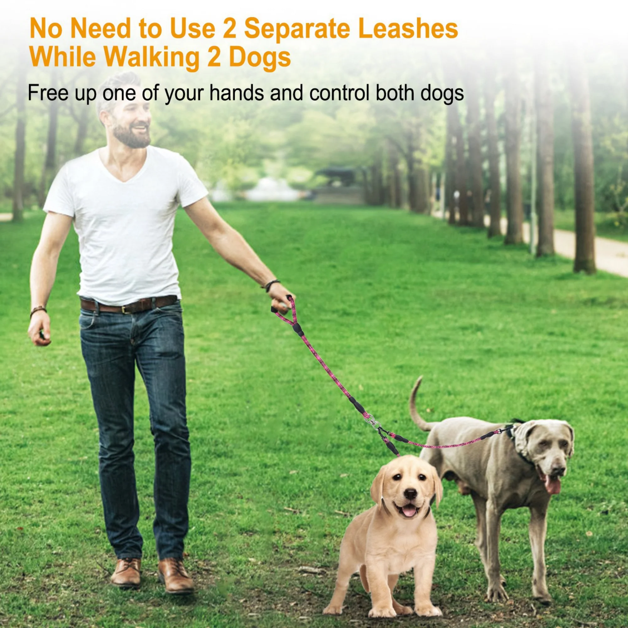 GBruno Double Dogs Leash - Image 6