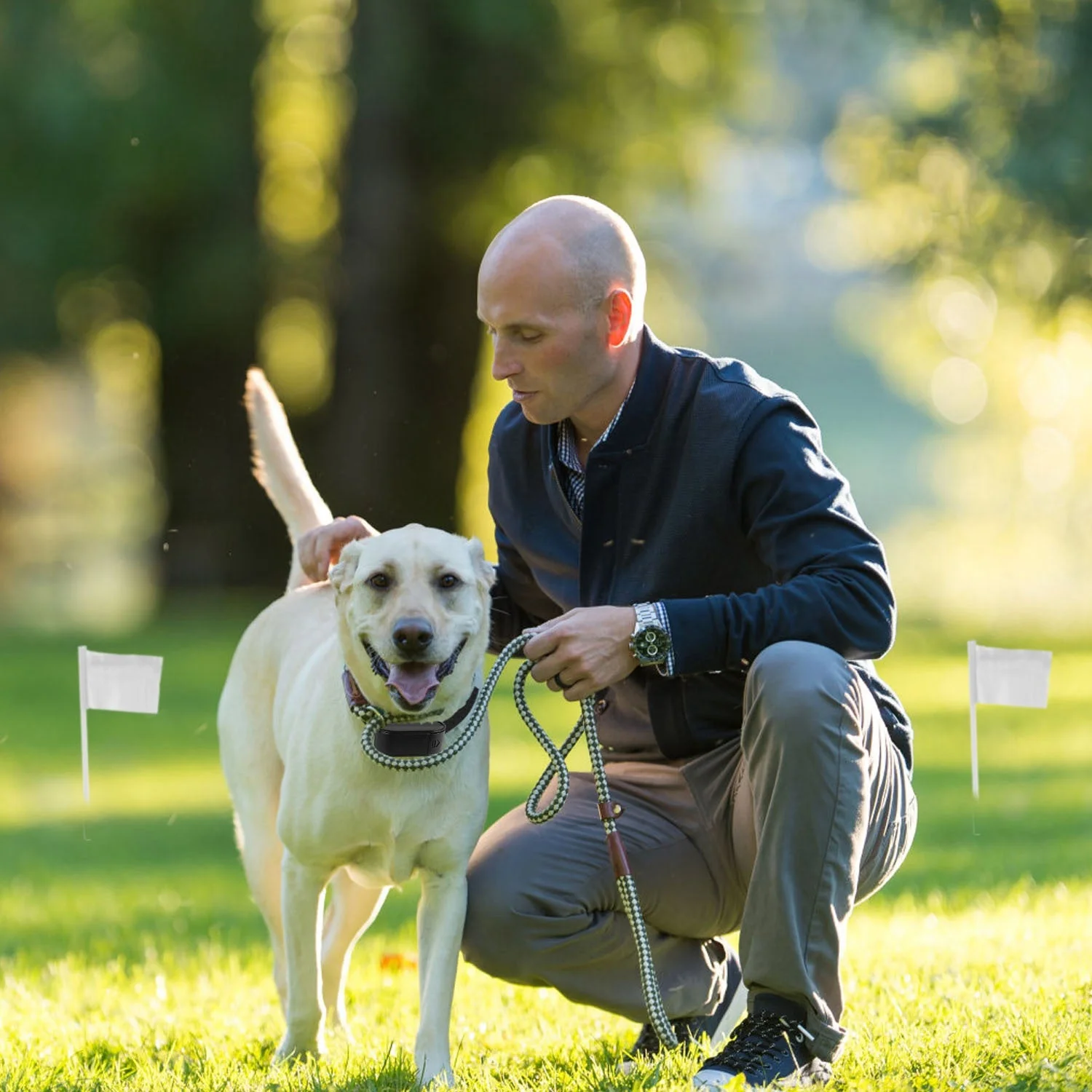 GBruno Electric Dog Fence System - Image 8