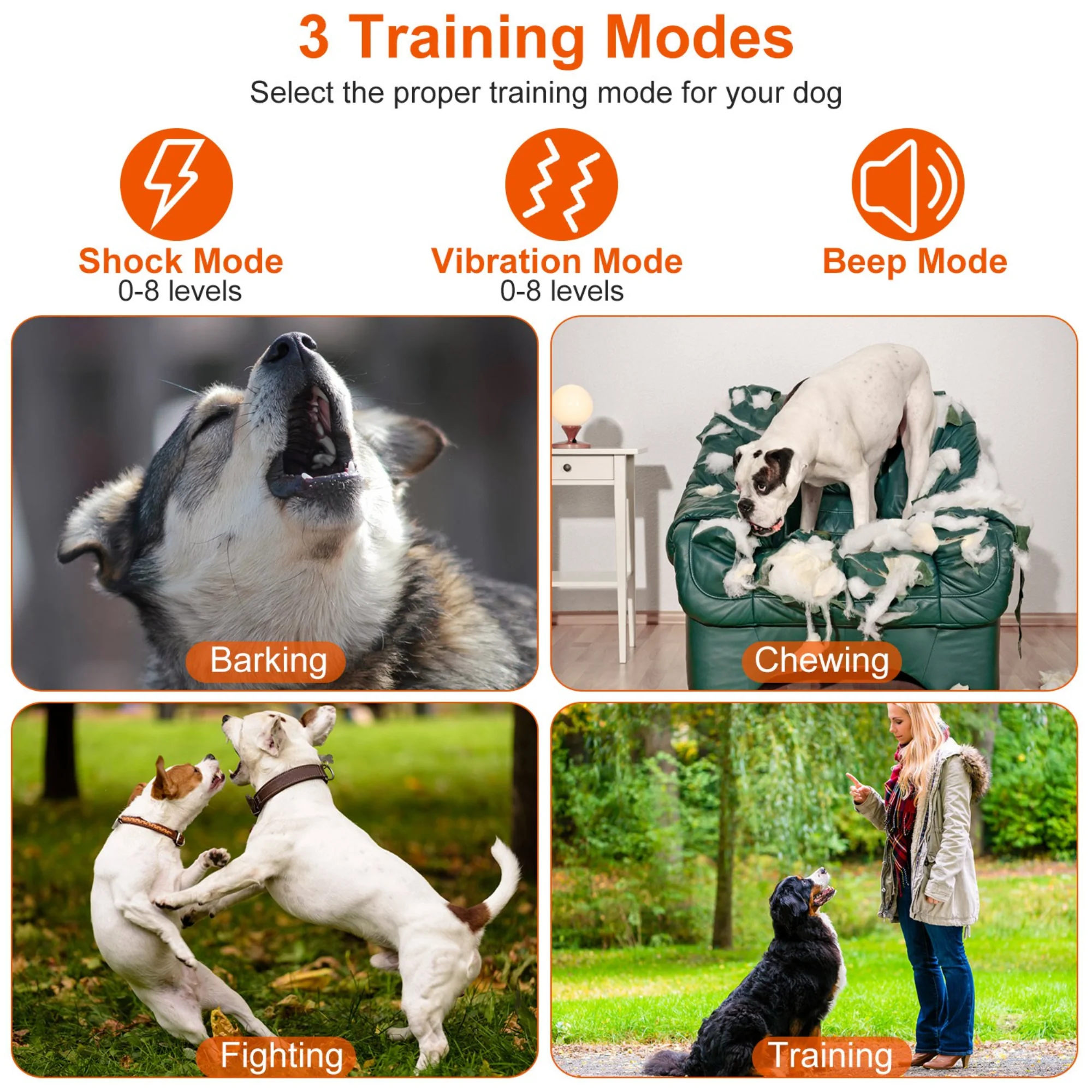 GBruno Electric Dog Training Collar - Image 3