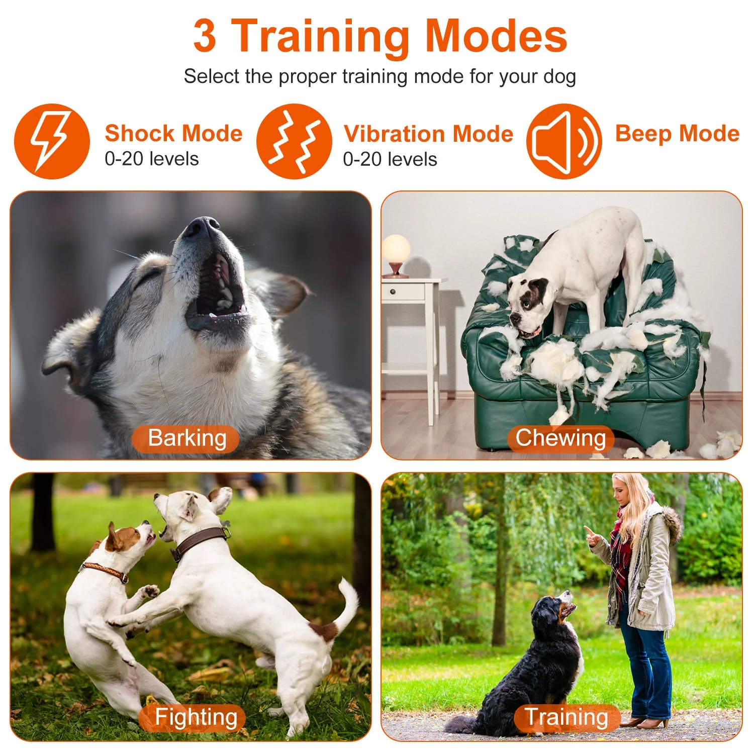 GBruno Electric Remote Training Collar - Image 4