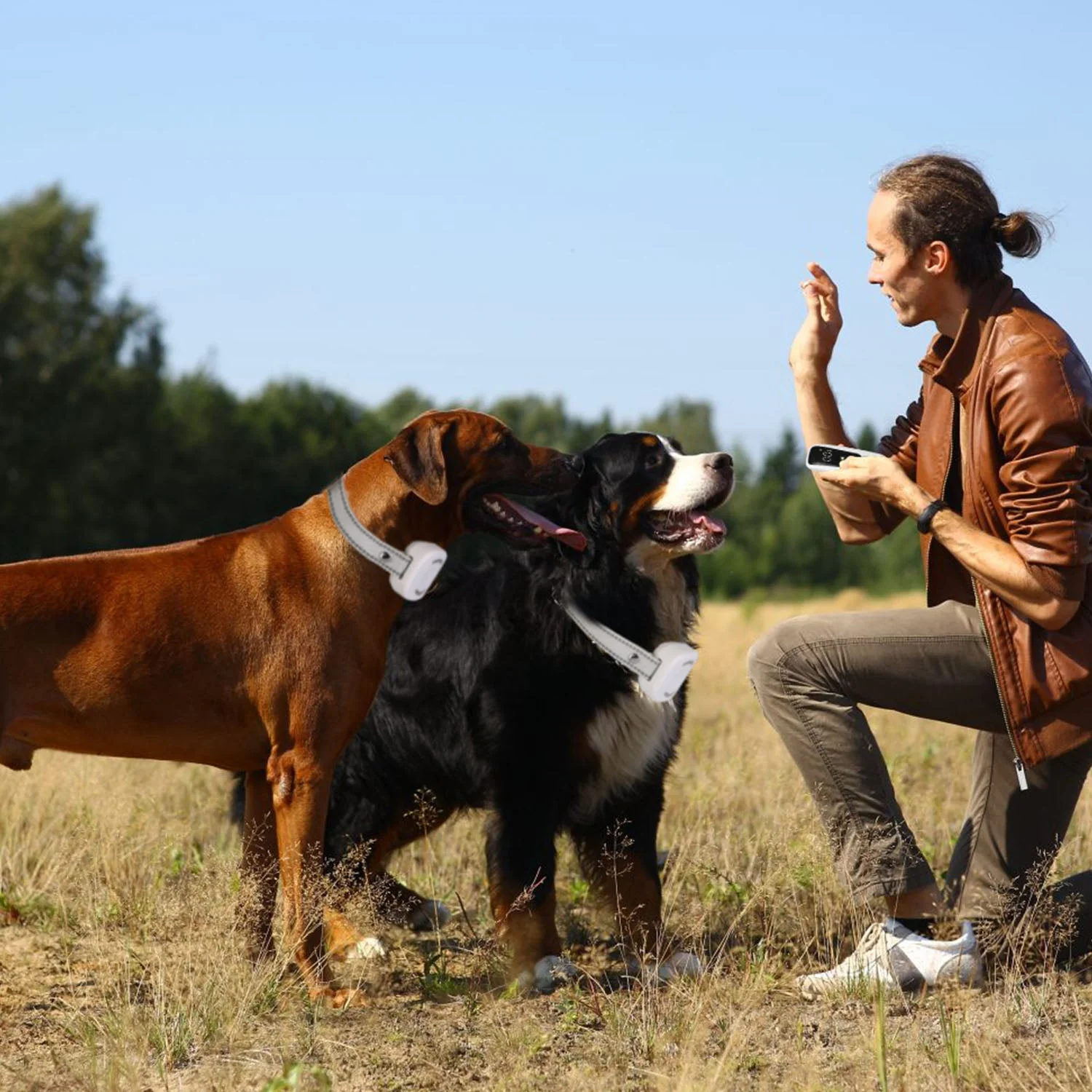 GBruno Electric Remote Training Collar - Image 7
