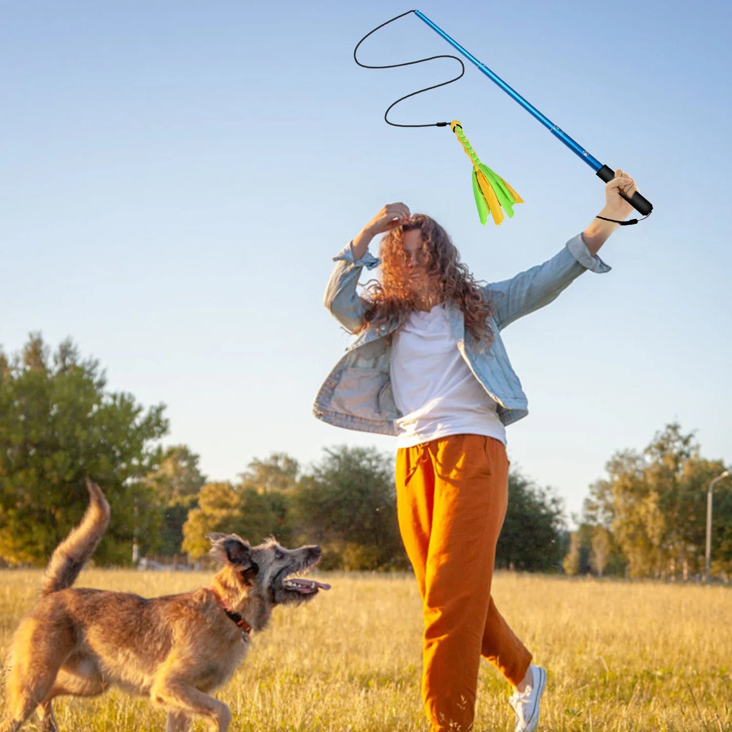 GBruno Extendable Dog Flirt Pole - Image 3