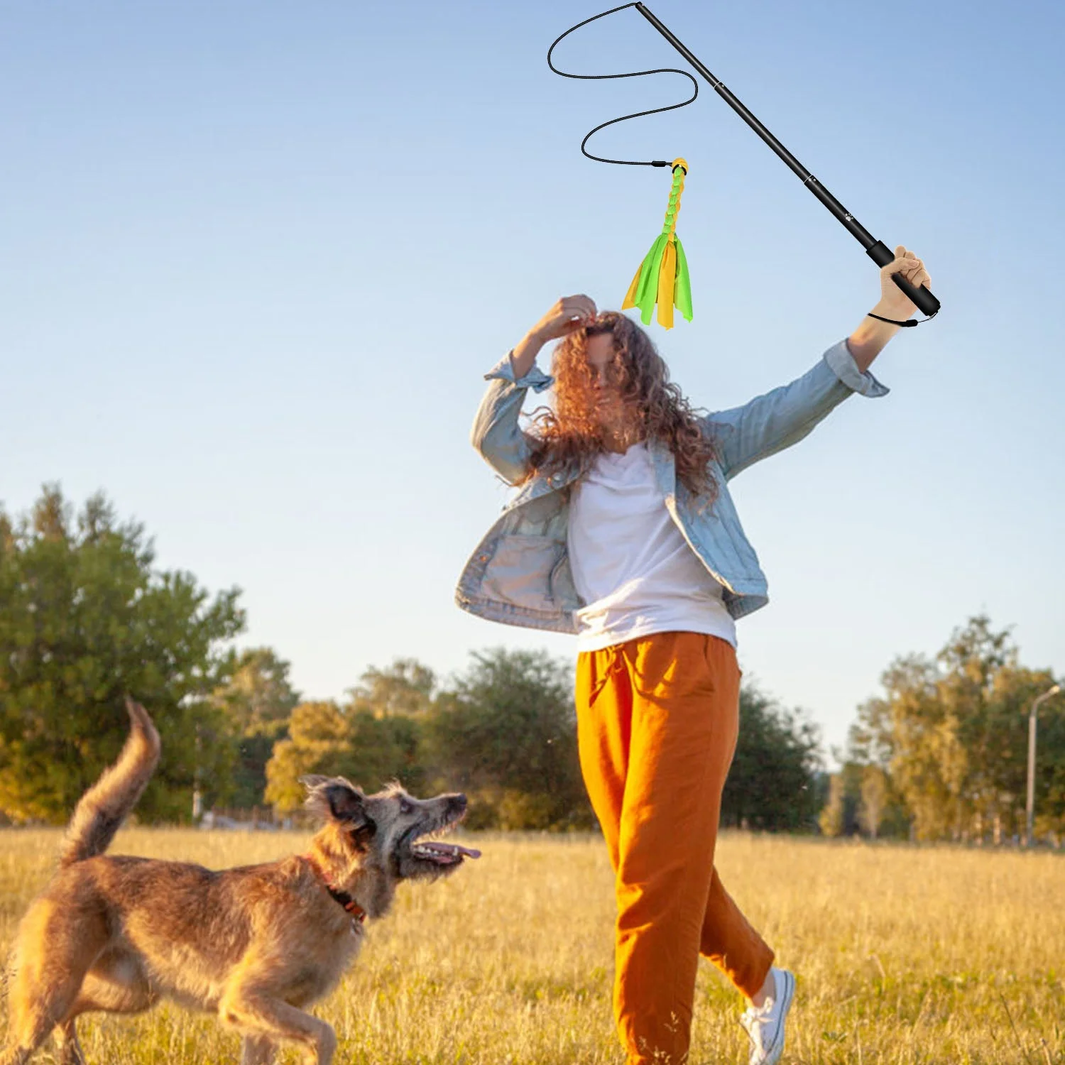 GBruno Extendable Dog Flirt Pole - Image 2