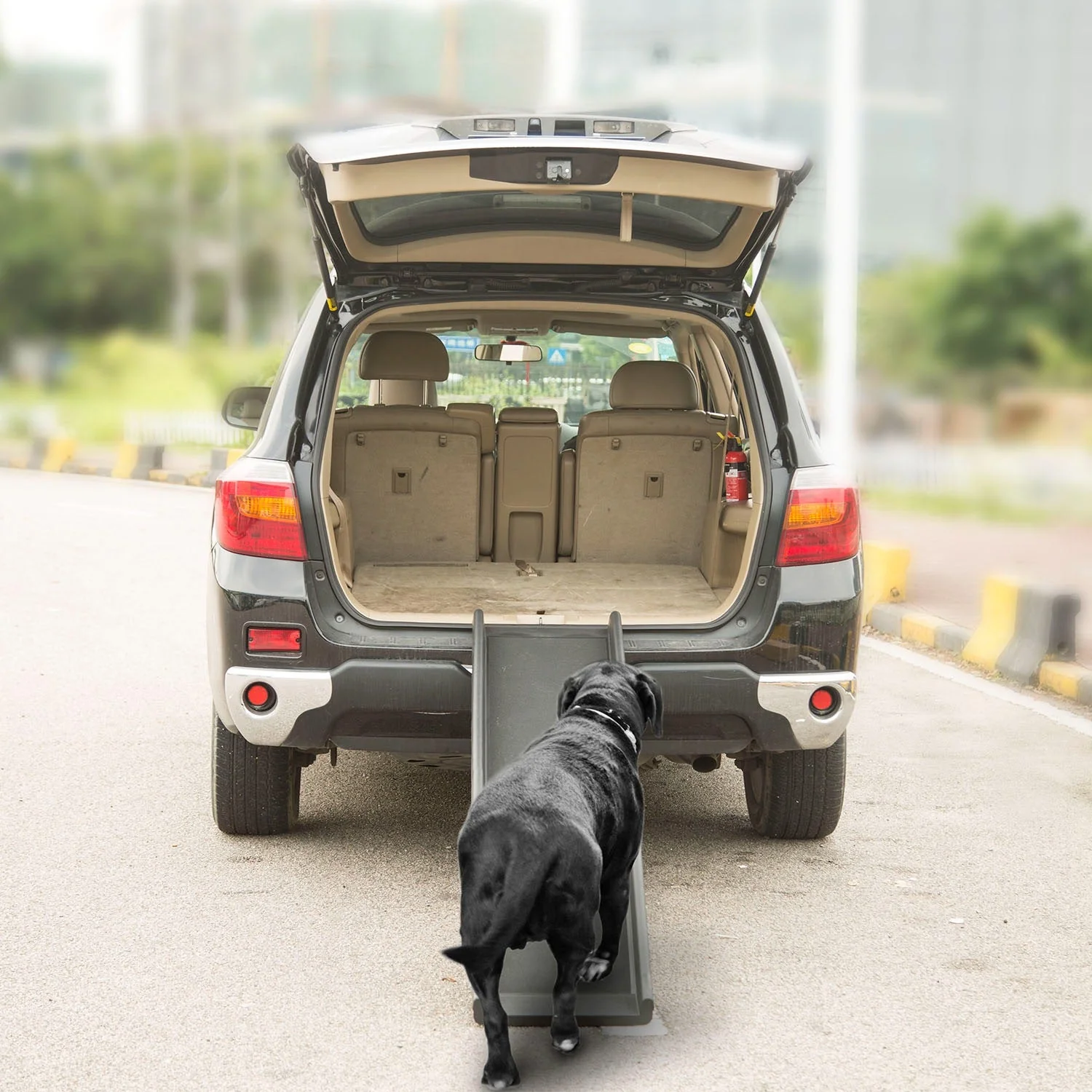 GBruno Foldable Pet Ramp Dog - Image 6