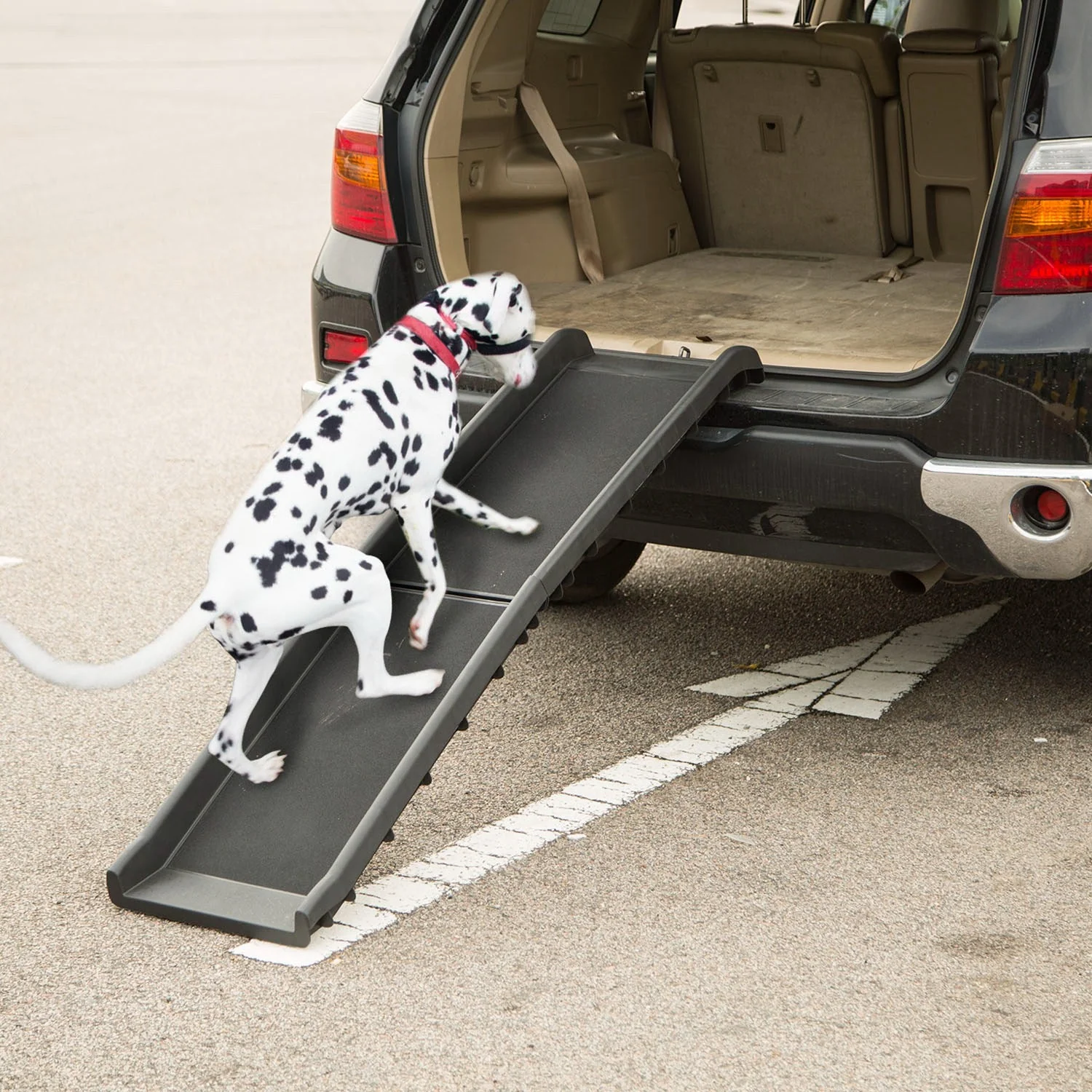 GBruno Foldable Pet Ramp Dog - Image 7