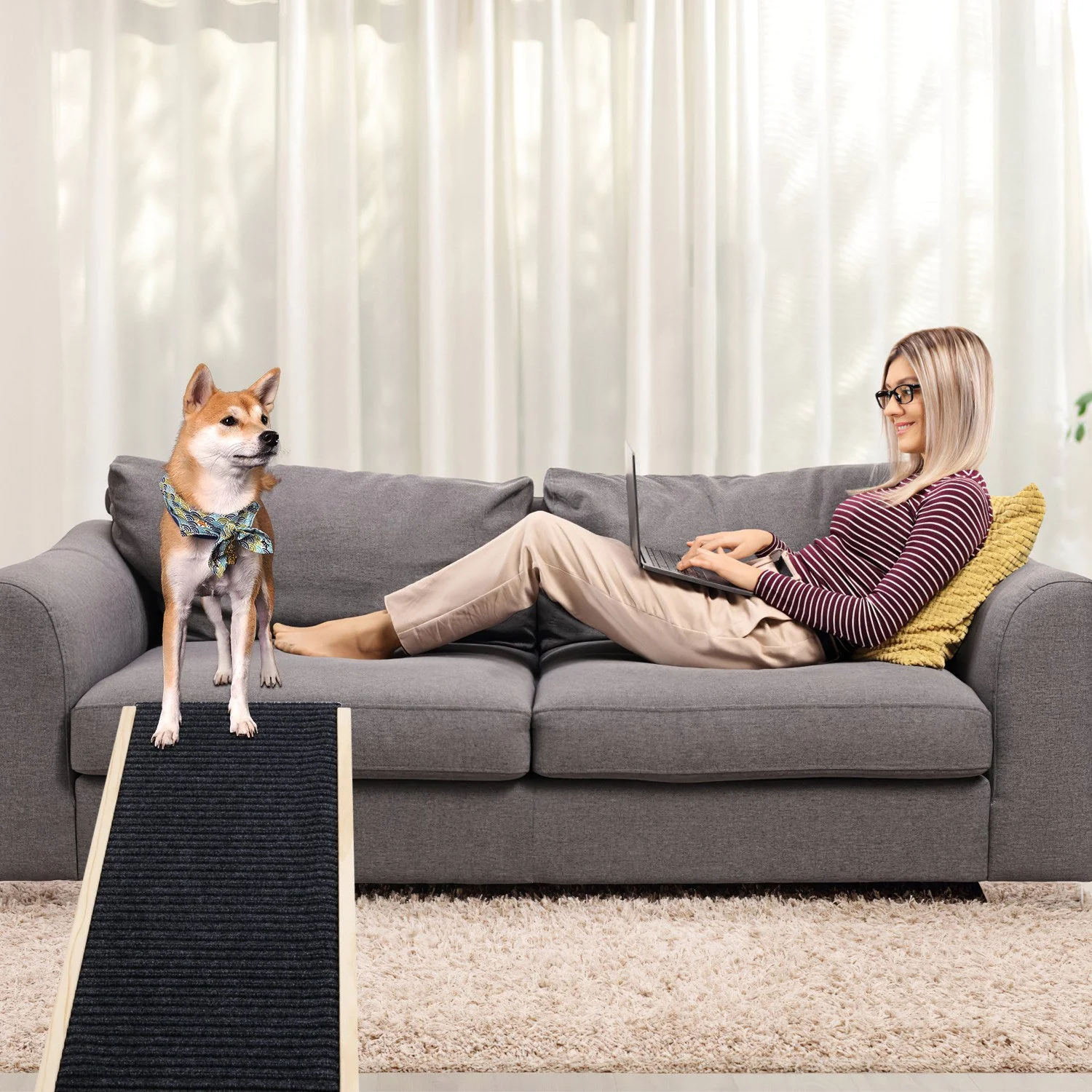 GBruno Foldable Wooden Dog Ramp - Image 2