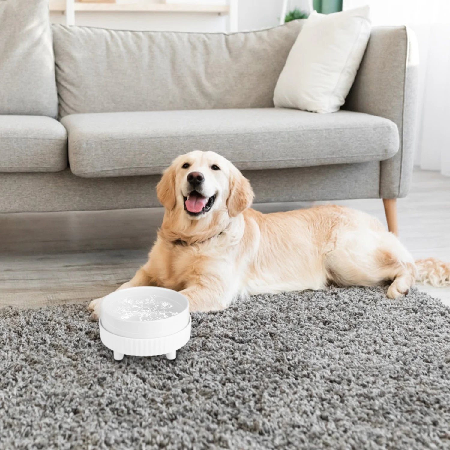 GBruno Heated Water Bowl For Dogs And Cats - Image 7
