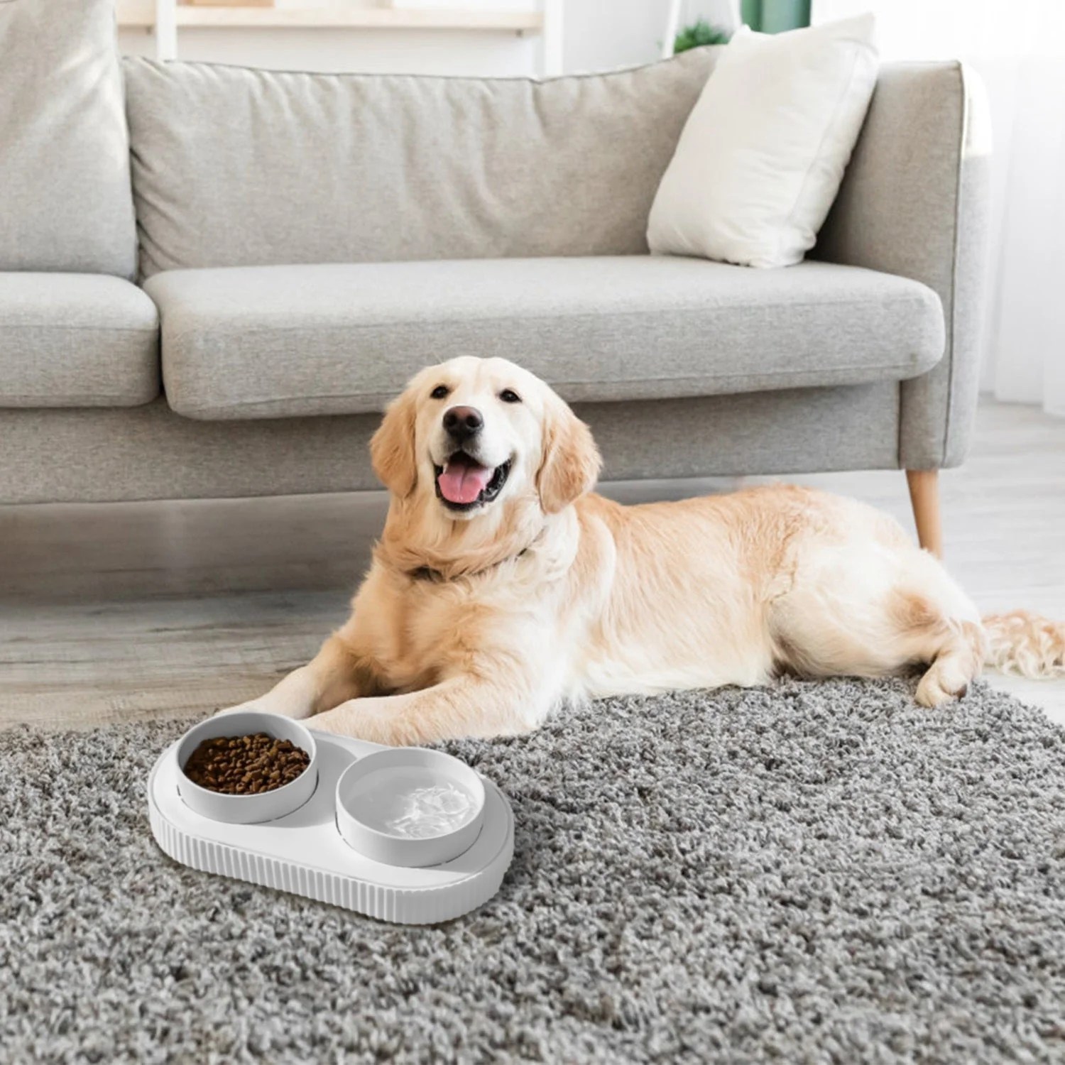 GBruno Heated Water Bowl For Dogs And Cats - Image 8