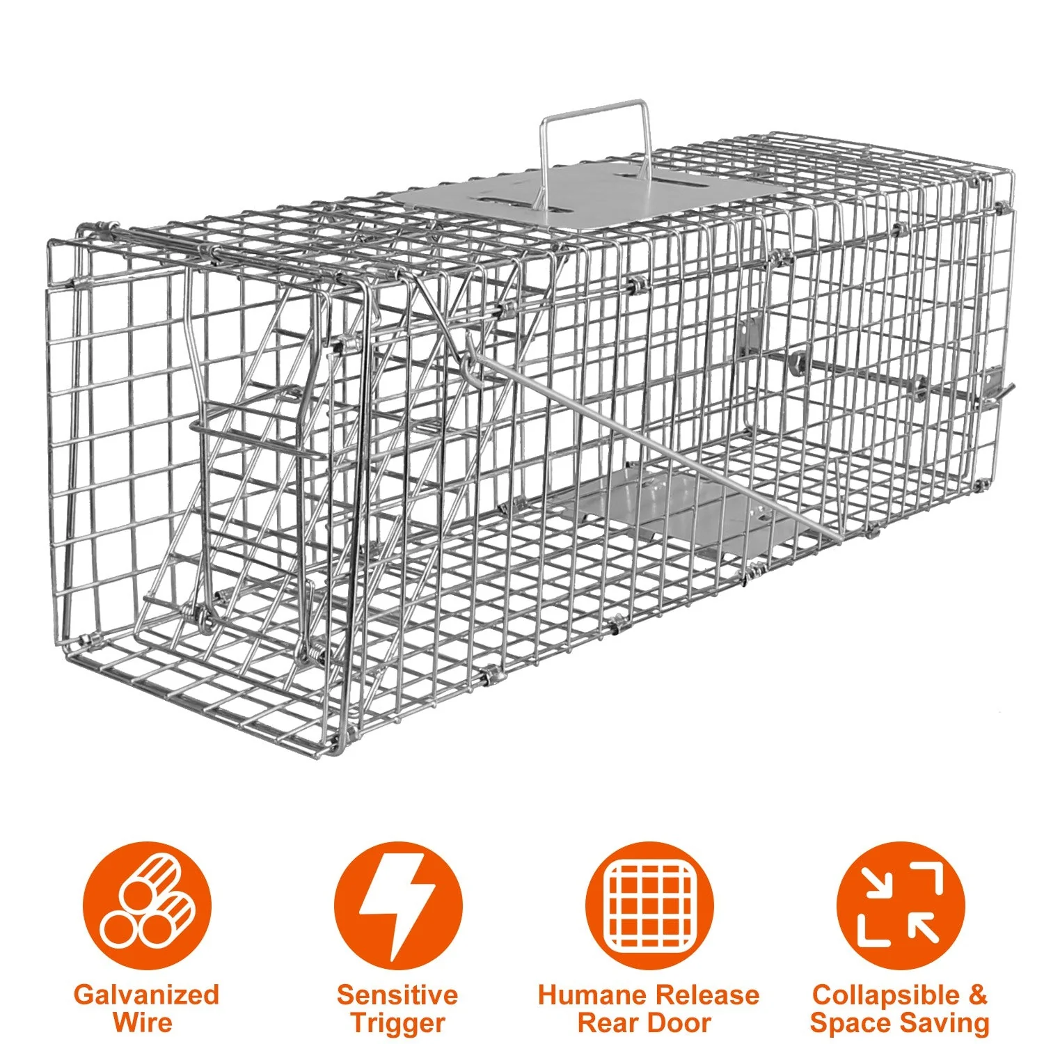 GBruno Humane Cat Trap - Image 2