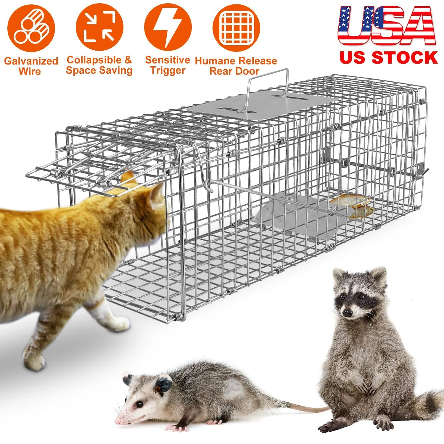 GBruno Humane Cat Trap - Image 5