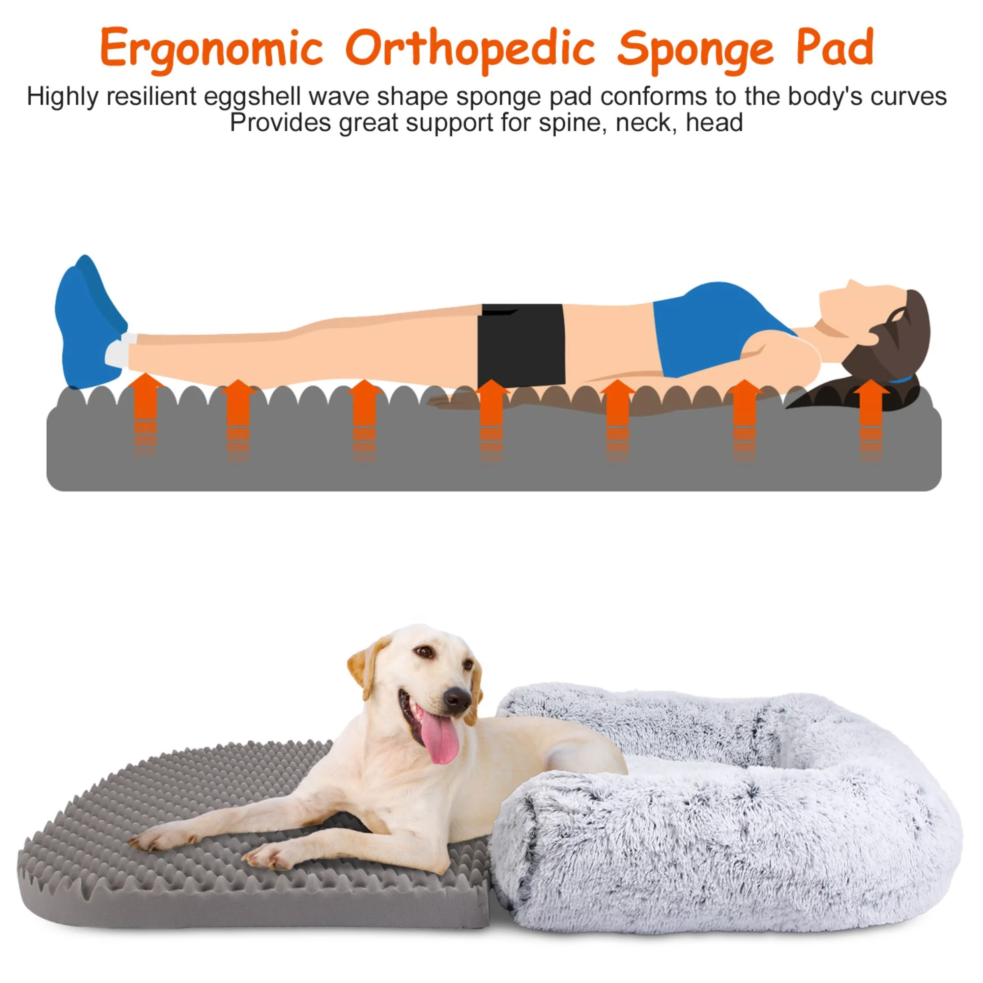 GBruno Large Foldable Human Size Dog Bed - Image 4