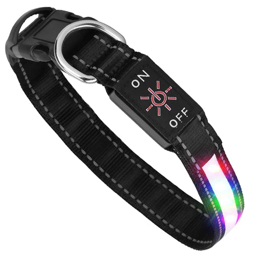 GBruno Light Up Dog Collar - Image 9