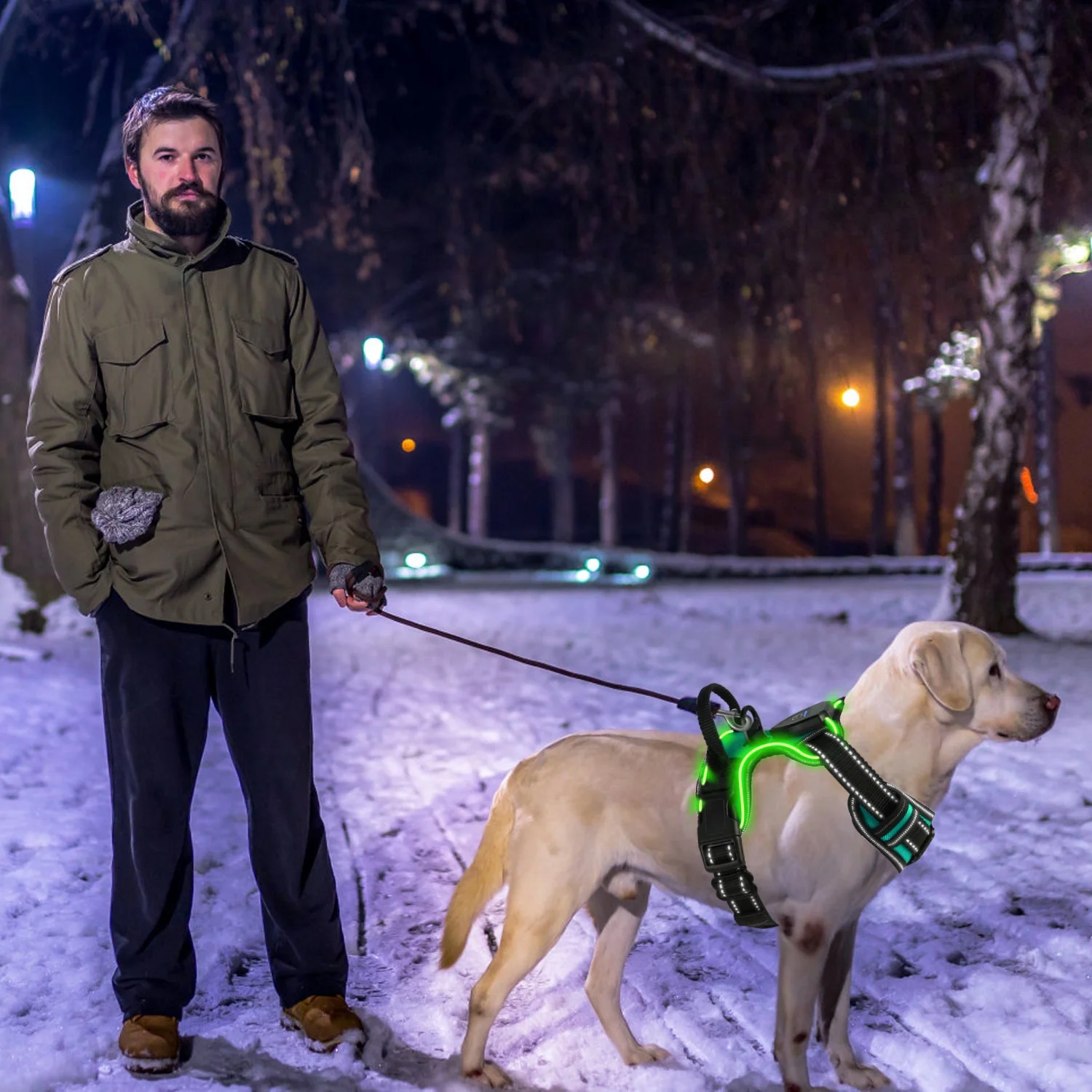 GBruno Light Up Dog Harness - Image 7