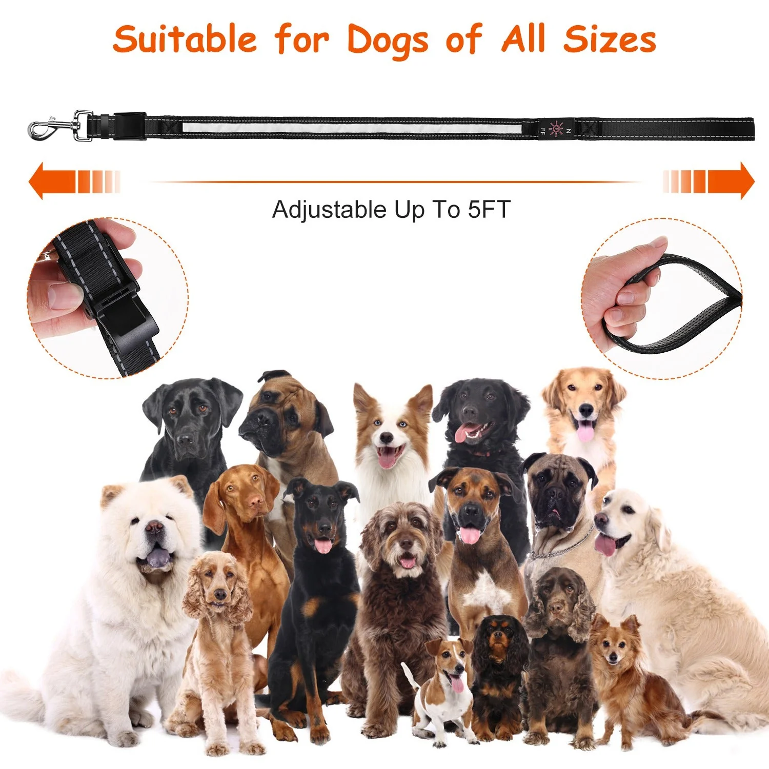 GBruno Light Up Dog Leash - Image 3