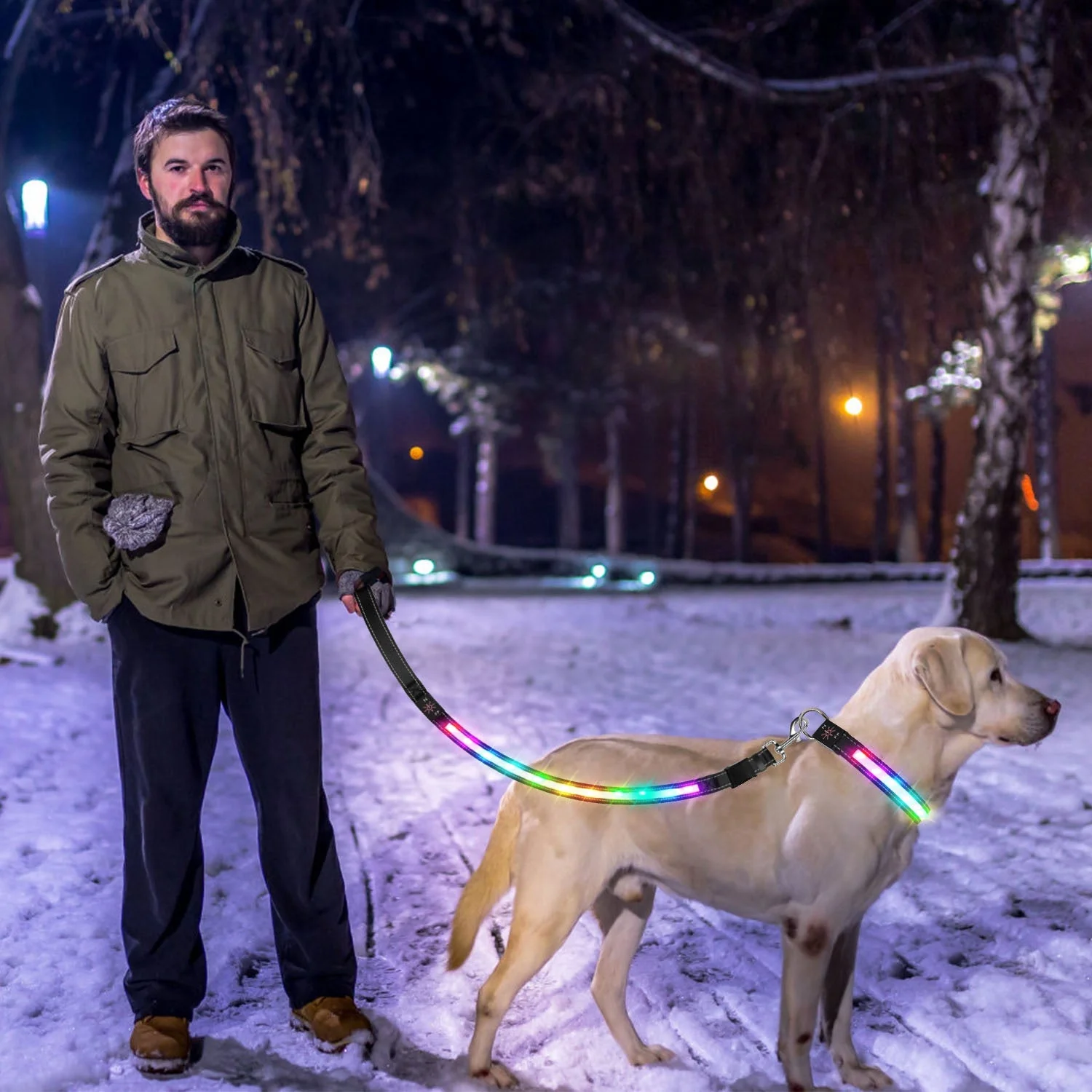 GBruno Light Up Dog Leash - Image 6