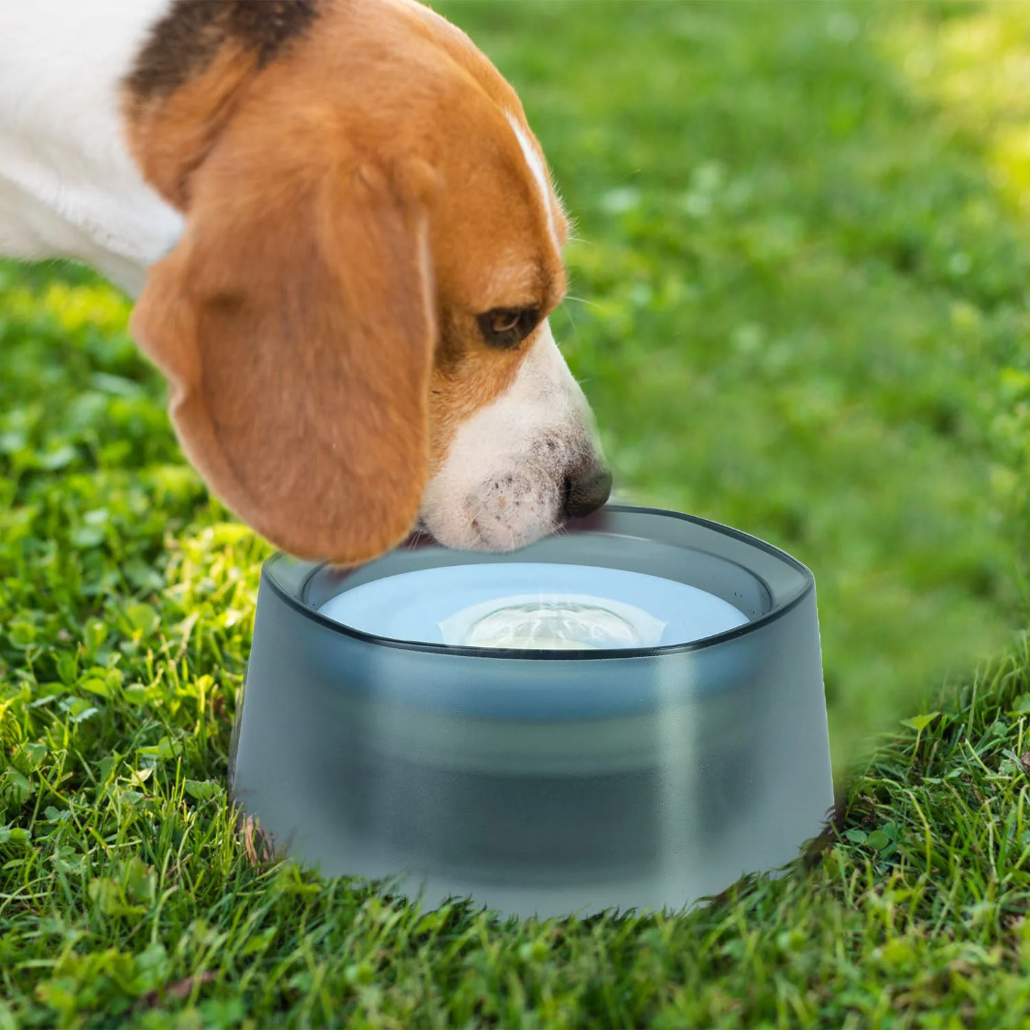 GBruno No Spill Dog Cat Water Bowl - Image 2