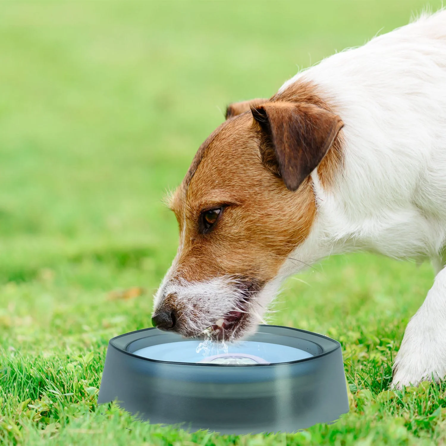 GBruno No Spill Dog Cat Water Bowl - Image 3