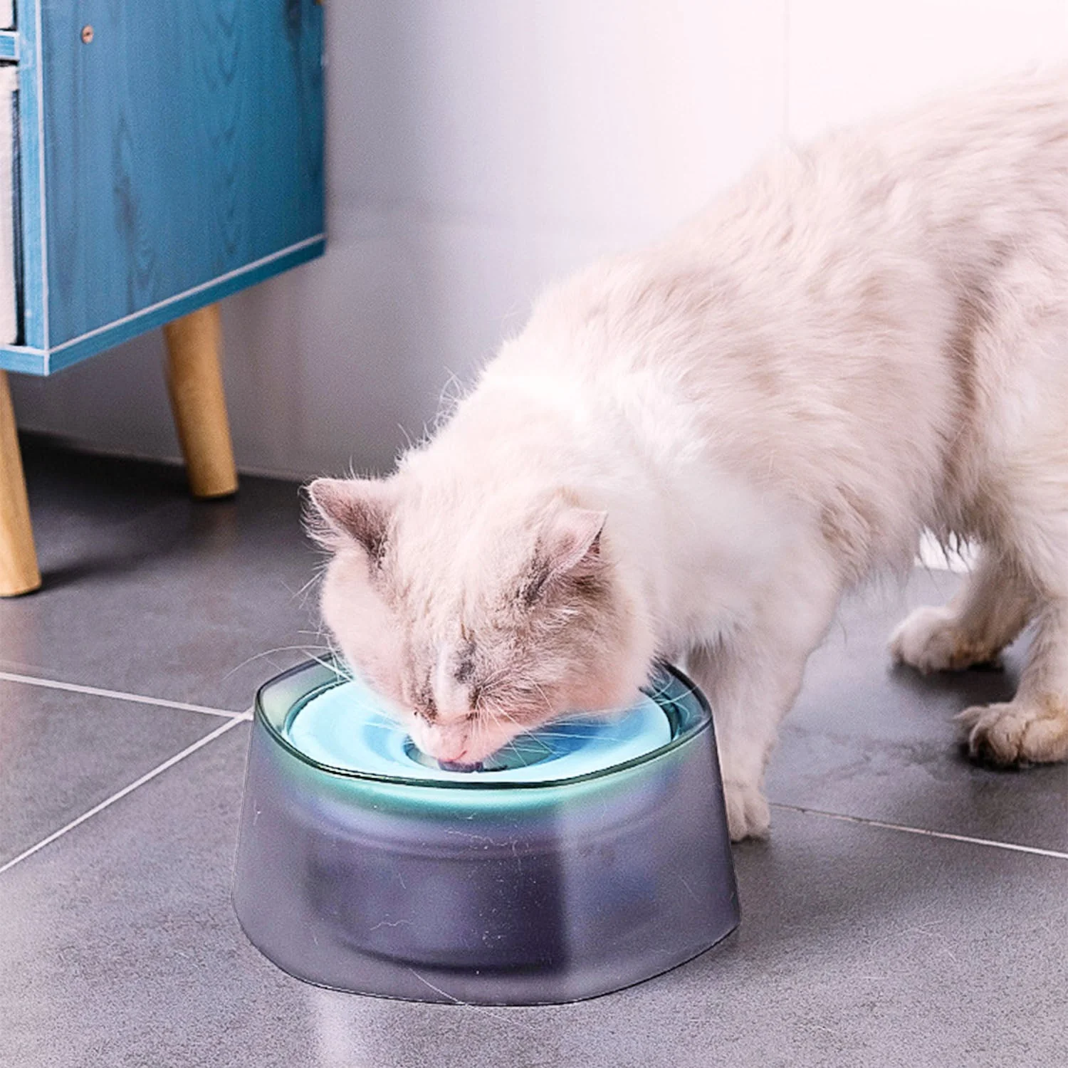 GBruno No Spill Dog Cat Water Bowl - Image 4