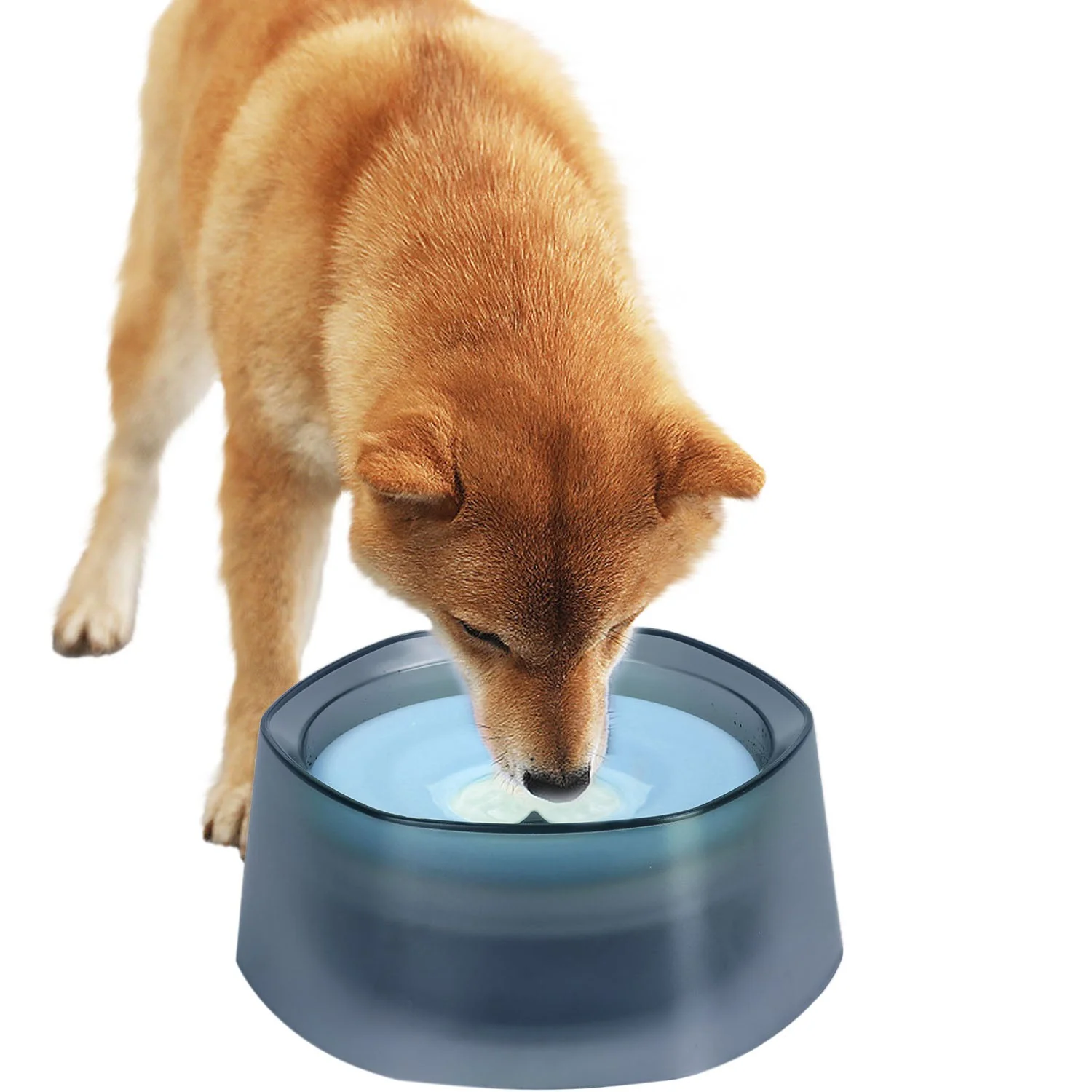 GBruno No Spill Dog Cat Water Bowl - Image 6