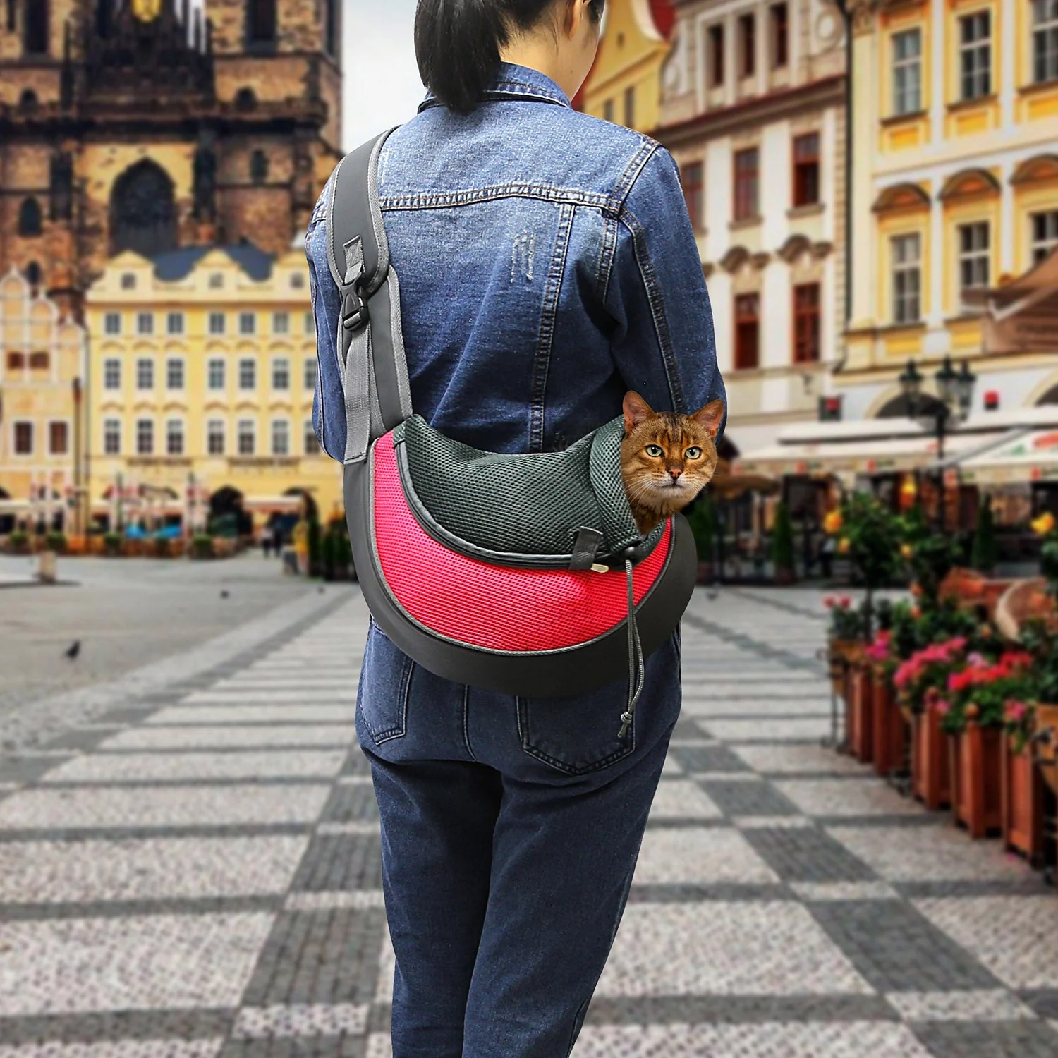 GBruno Pet Carrier for Dogs Cats - Image 2