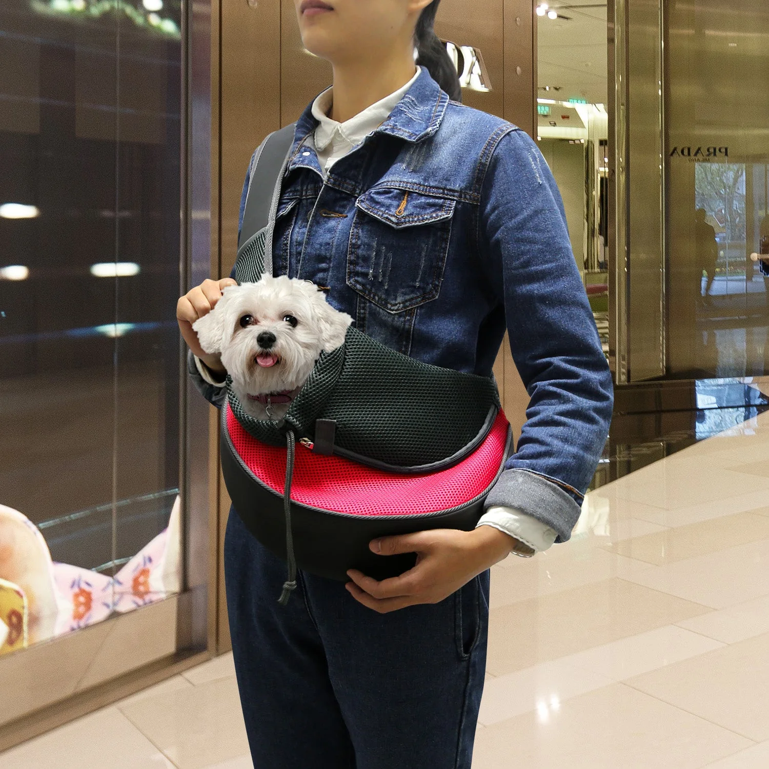GBruno Pet Carrier for Dogs Cats - Image 6