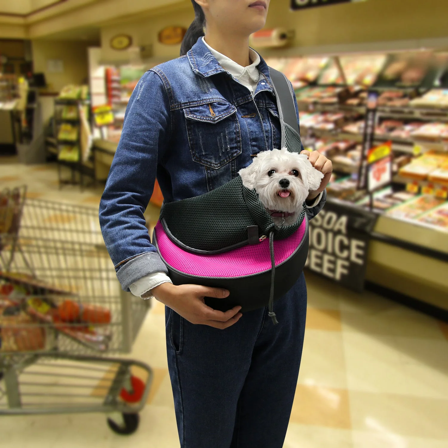 GBruno Pet Carrier for Dogs Cats - Image 5