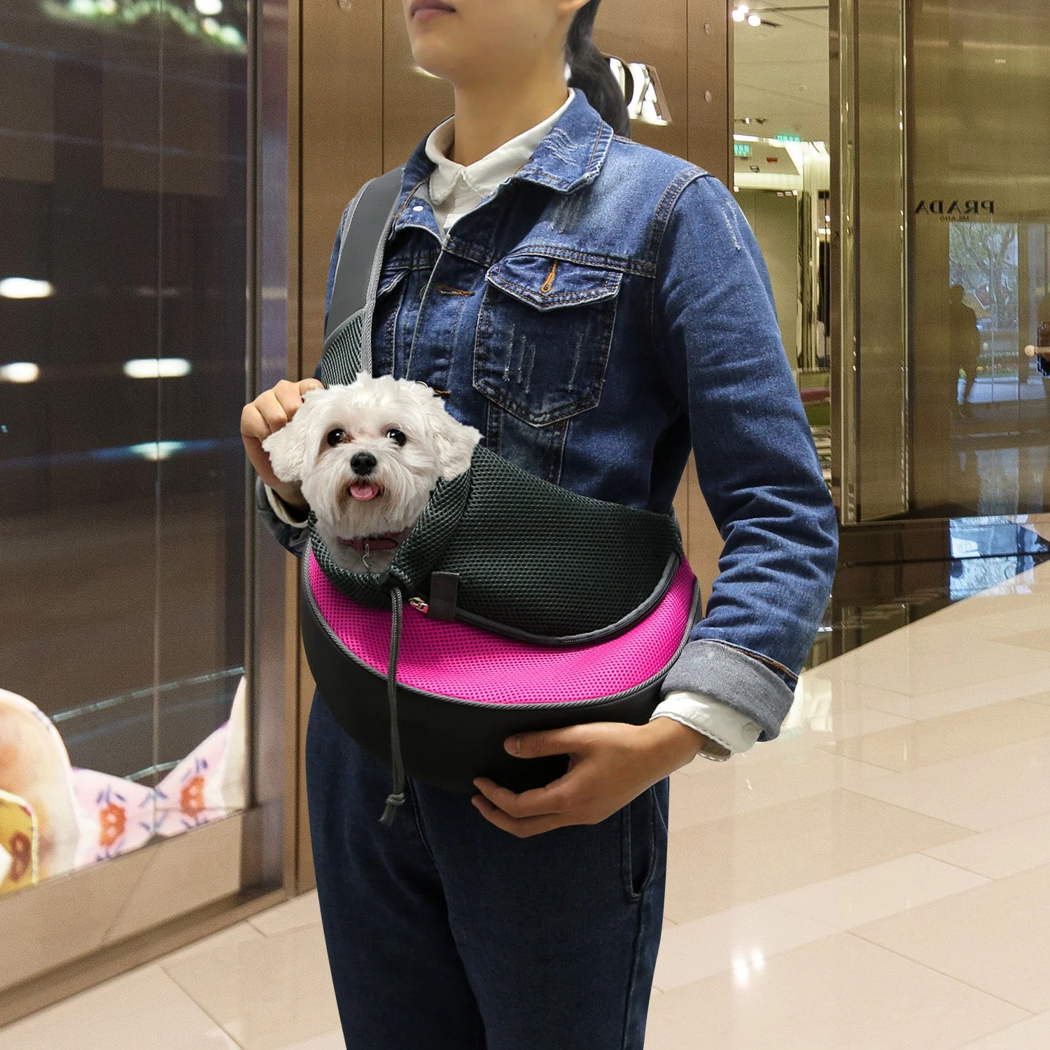 GBruno Pet Carrier for Dogs Cats - Image 6