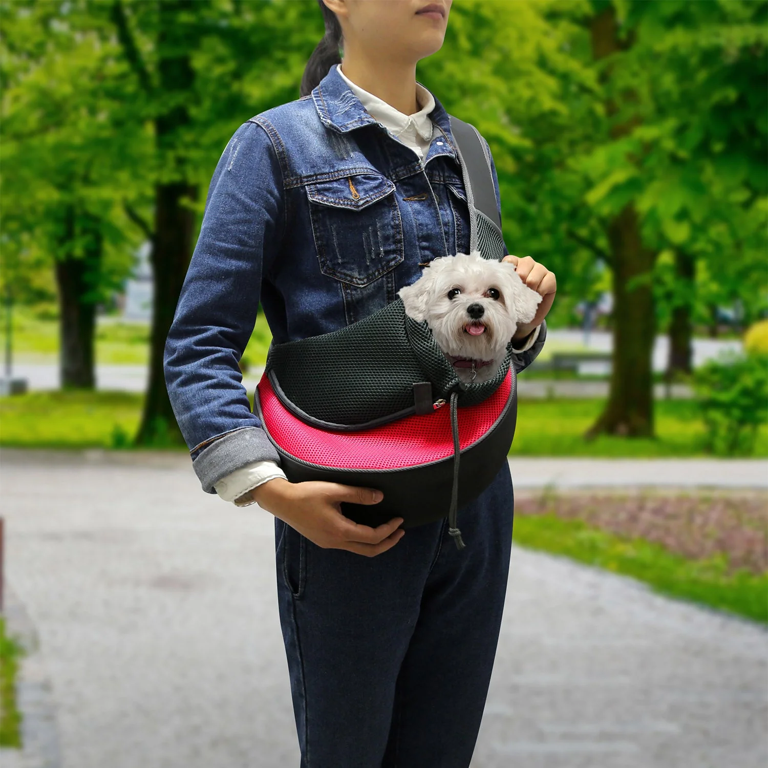 GBruno Pet Carrier for Dogs Cats - Image 6