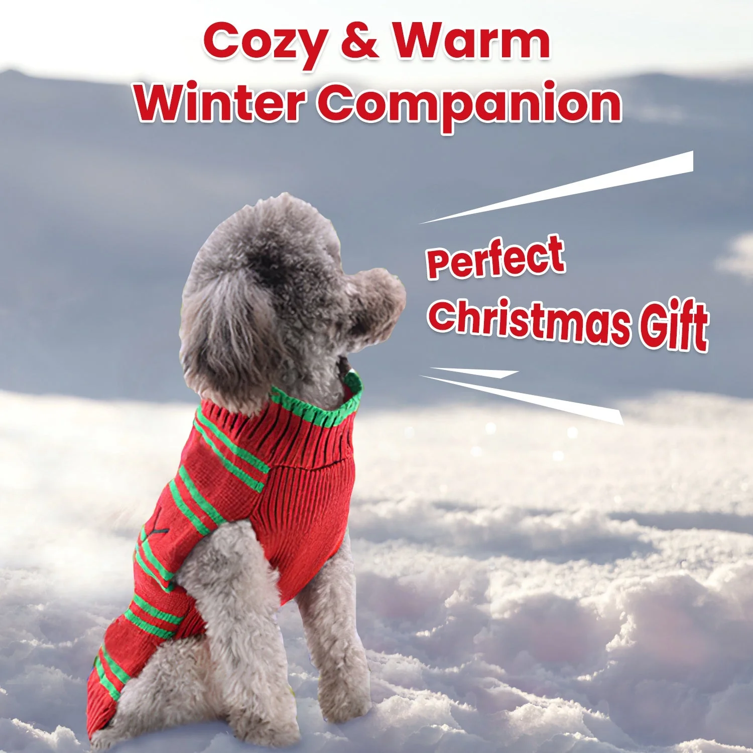 GBruno Pet Christmas Turtleneck Sweater - Image 2