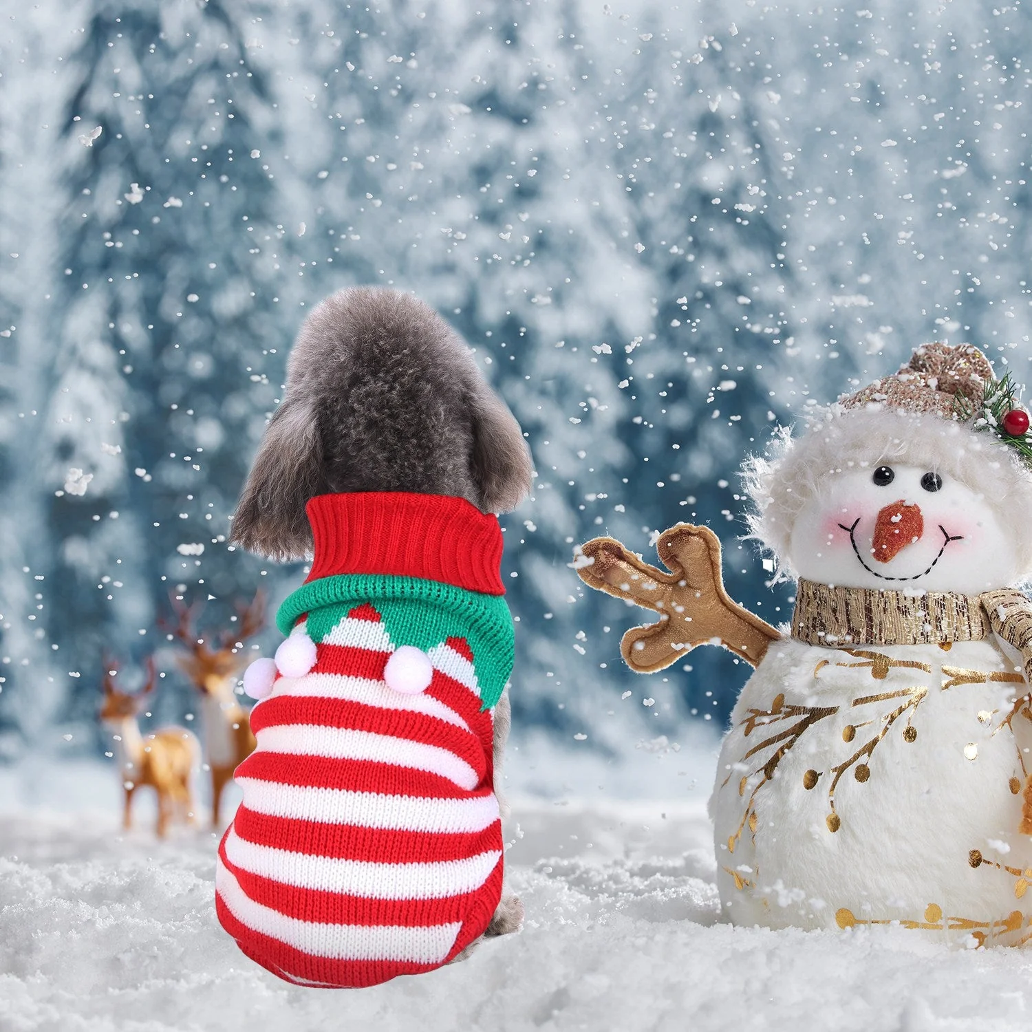 GBruno Pet Christmas Turtleneck Sweater - Image 2