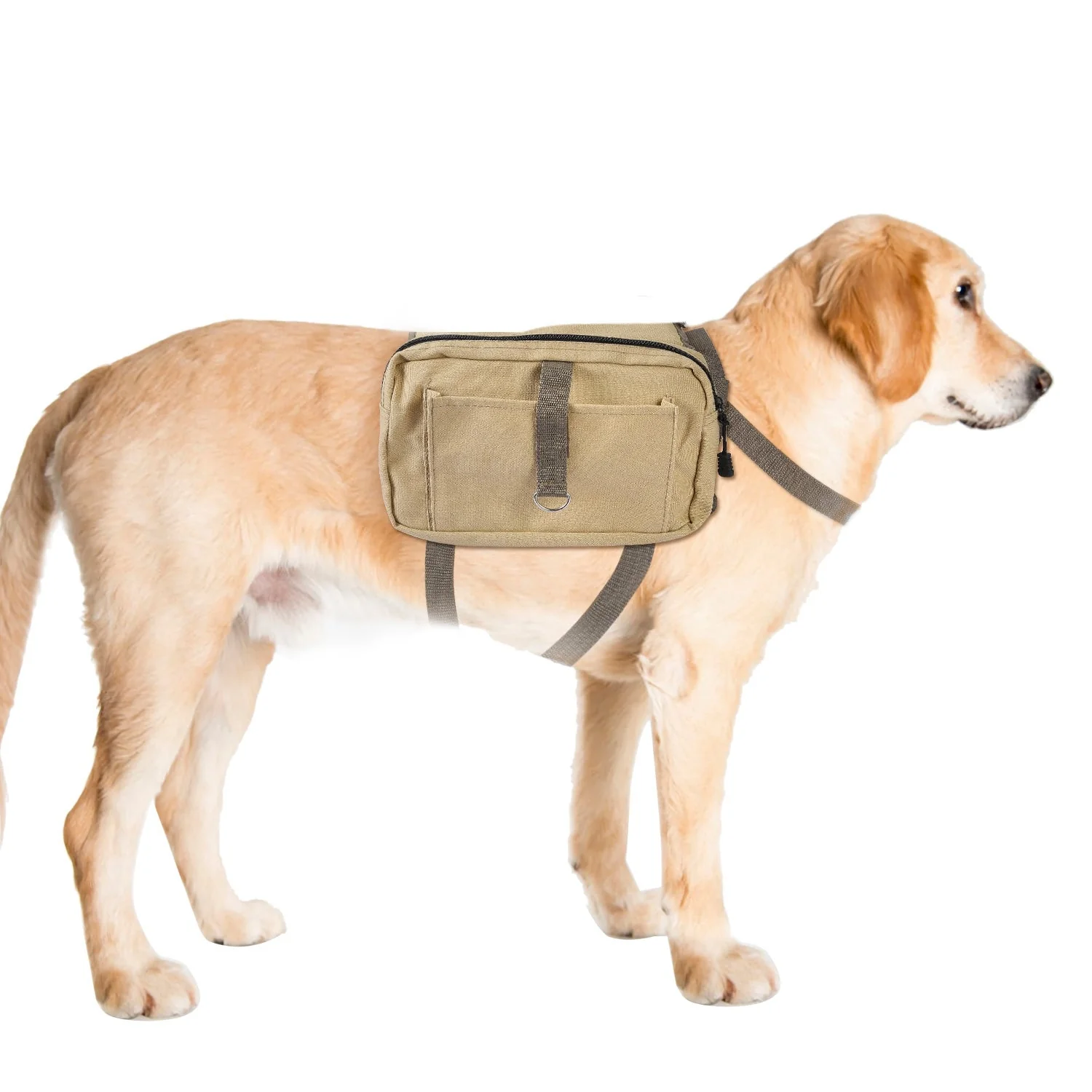 GBruno Pet Dog Backpack - Image 2