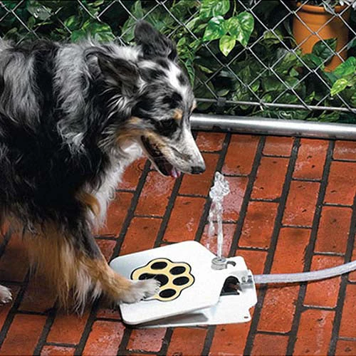 GBruno Pet Dog Fountain - Image 2